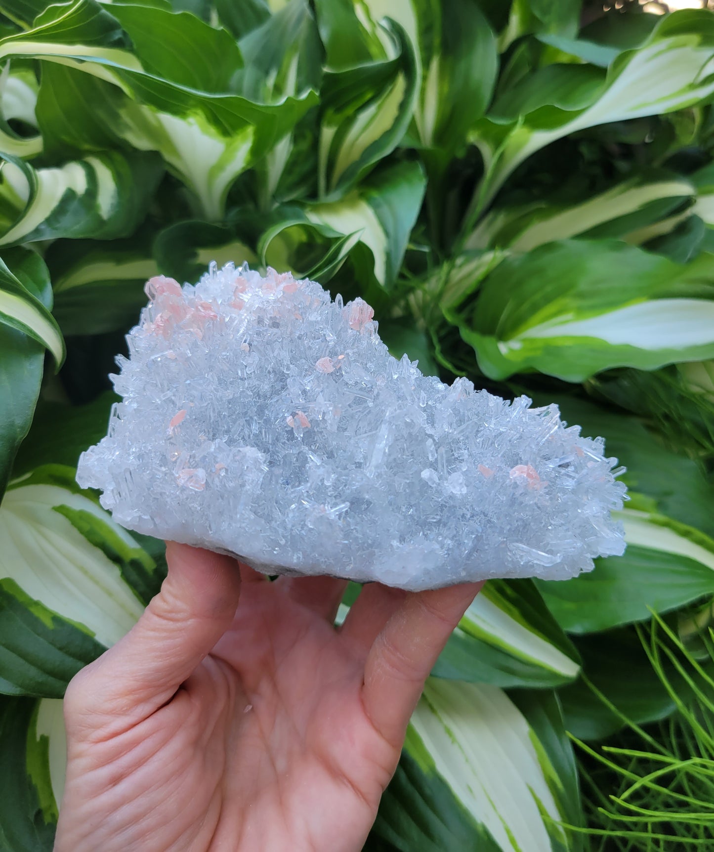 Quartz and Rhodochrosite Cluster from China