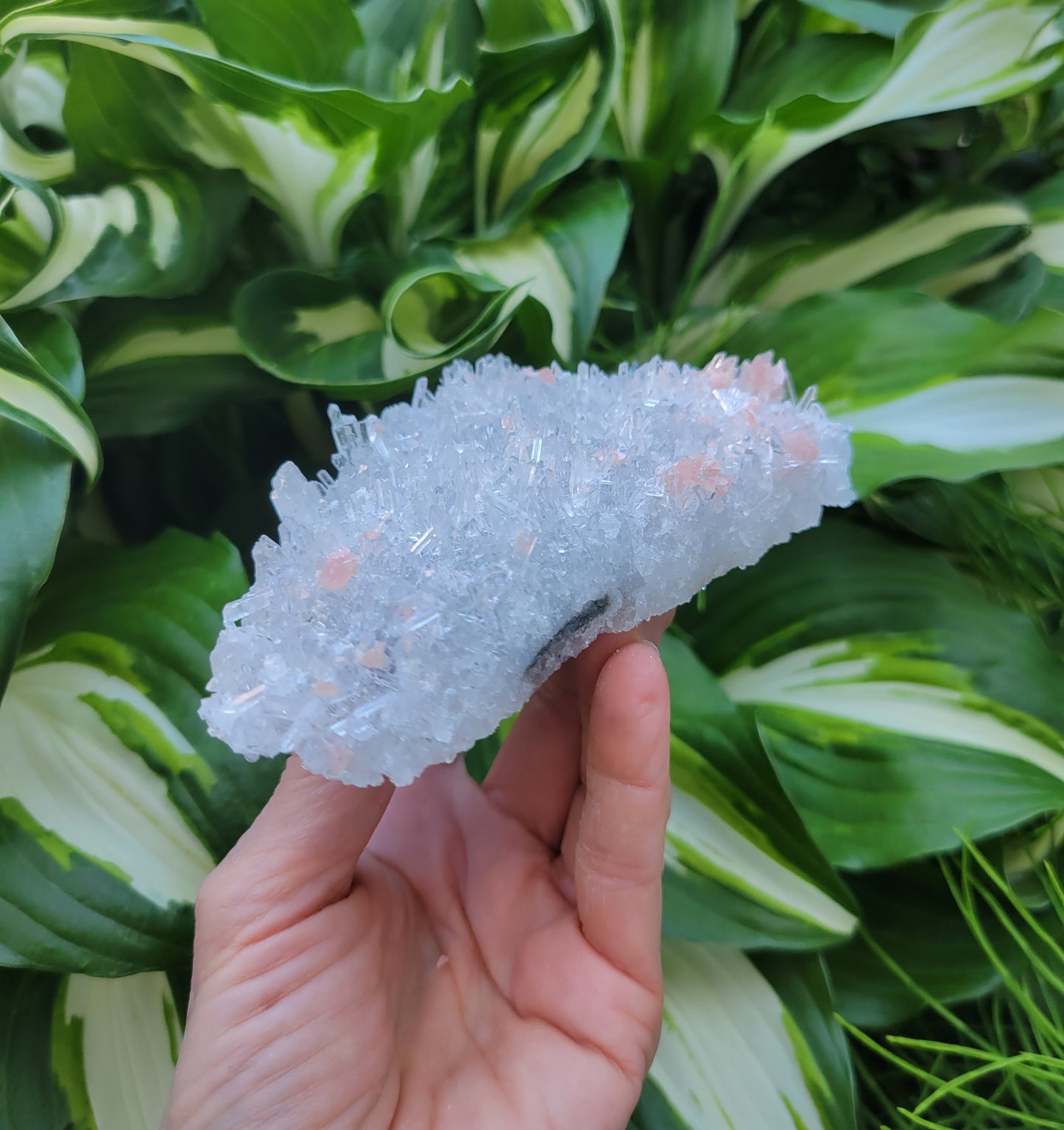 Quartz and Rhodochrosite Cluster from China