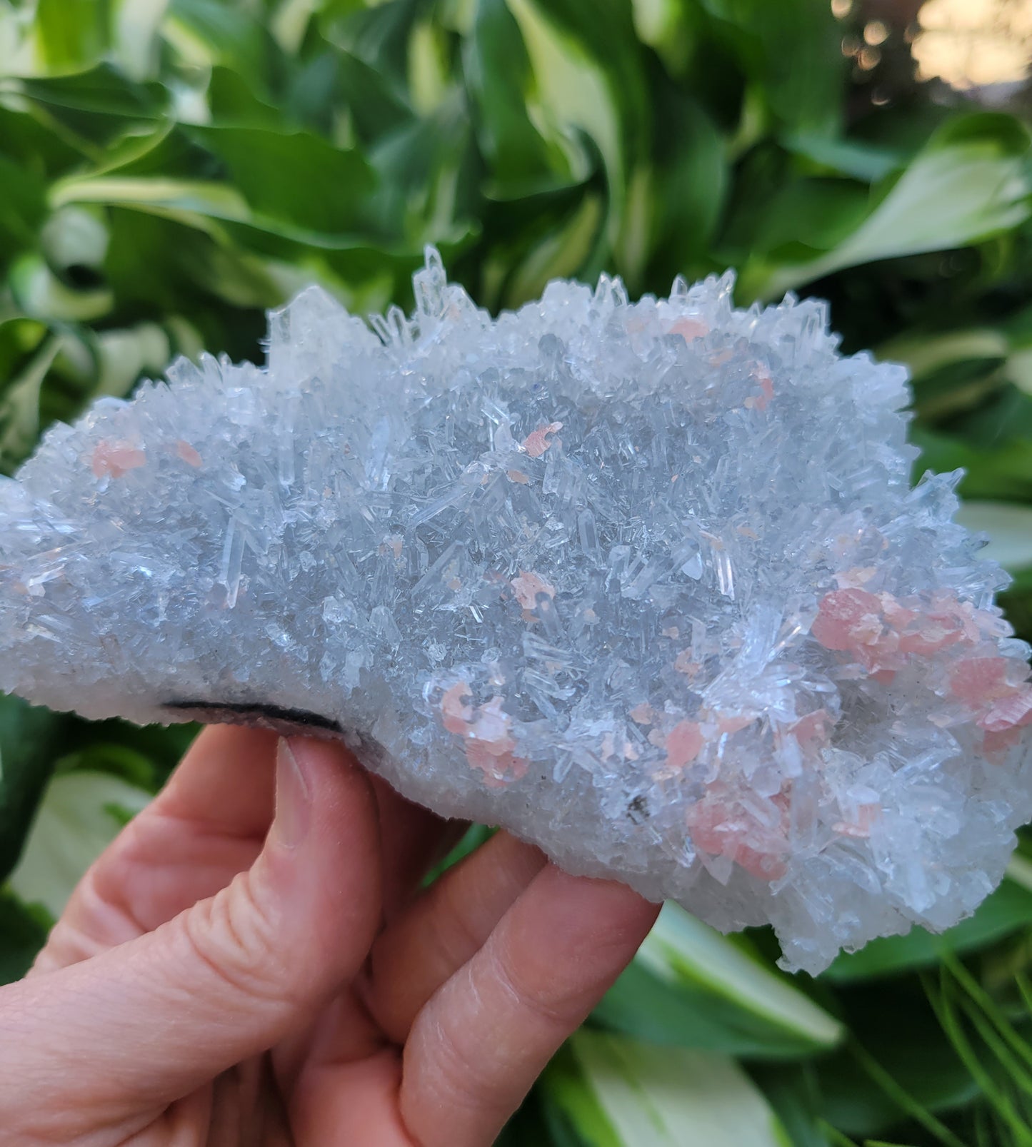 Quartz and Rhodochrosite Cluster from China