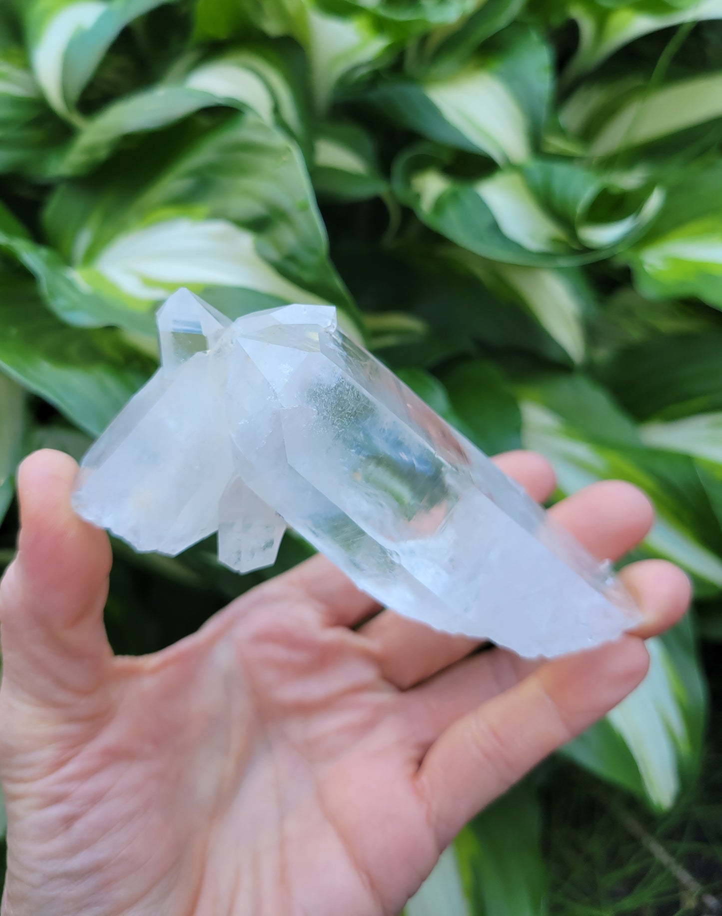 Quartz Cluster (Blue Mist) from Santander, Colombia