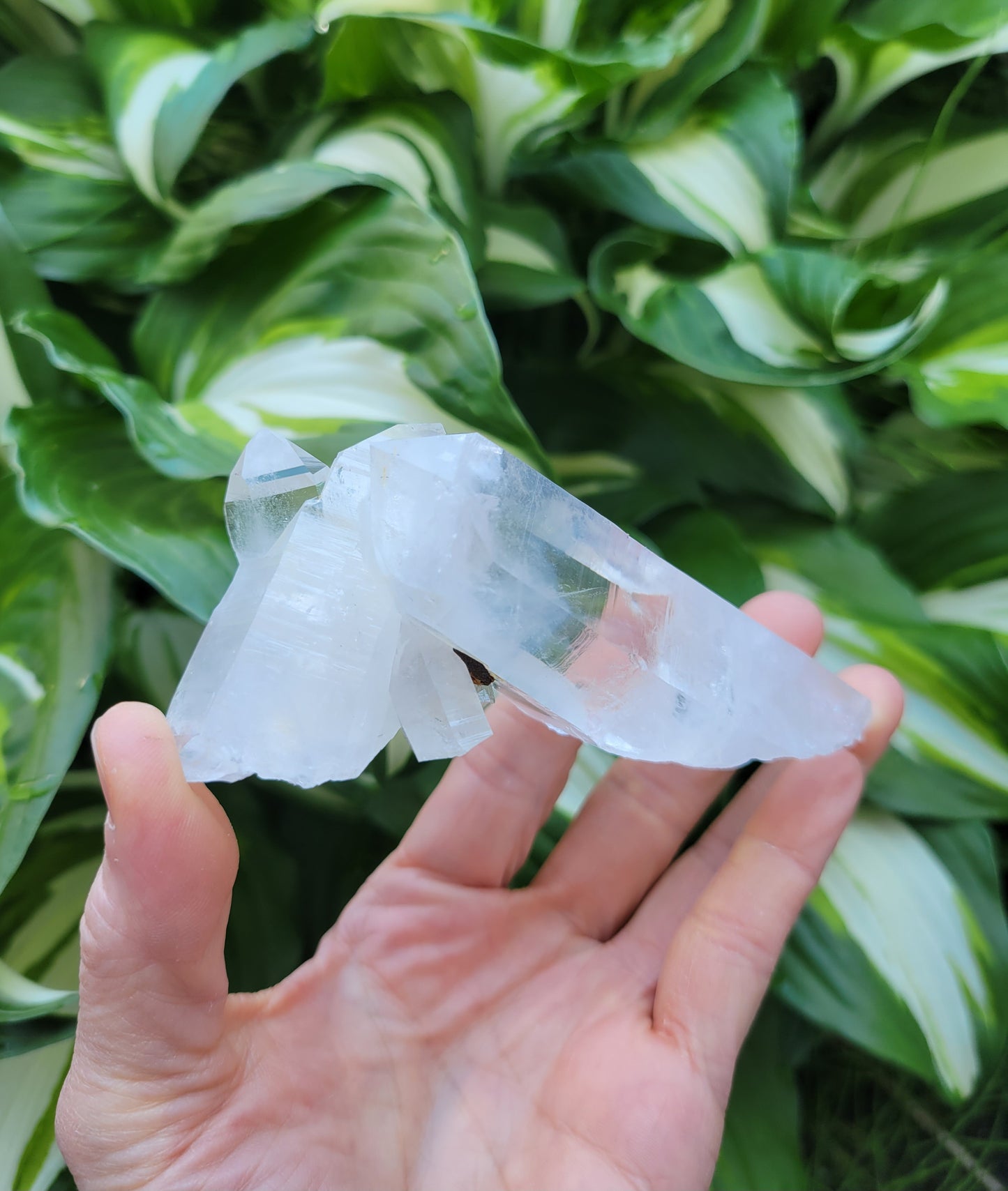 Quartz Cluster (Blue Mist) from Santander, Colombia