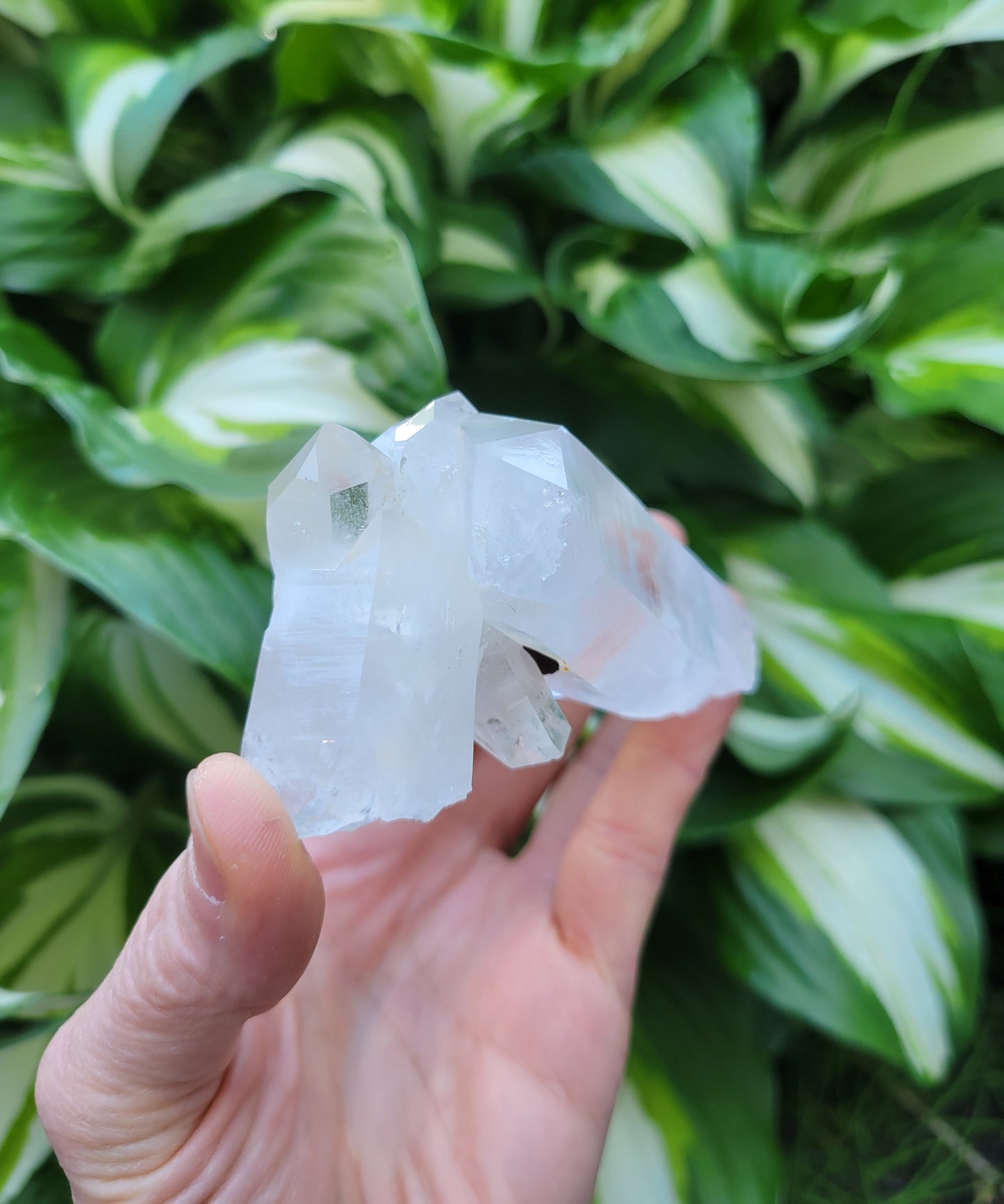 Quartz Cluster (Blue Mist) from Santander, Colombia