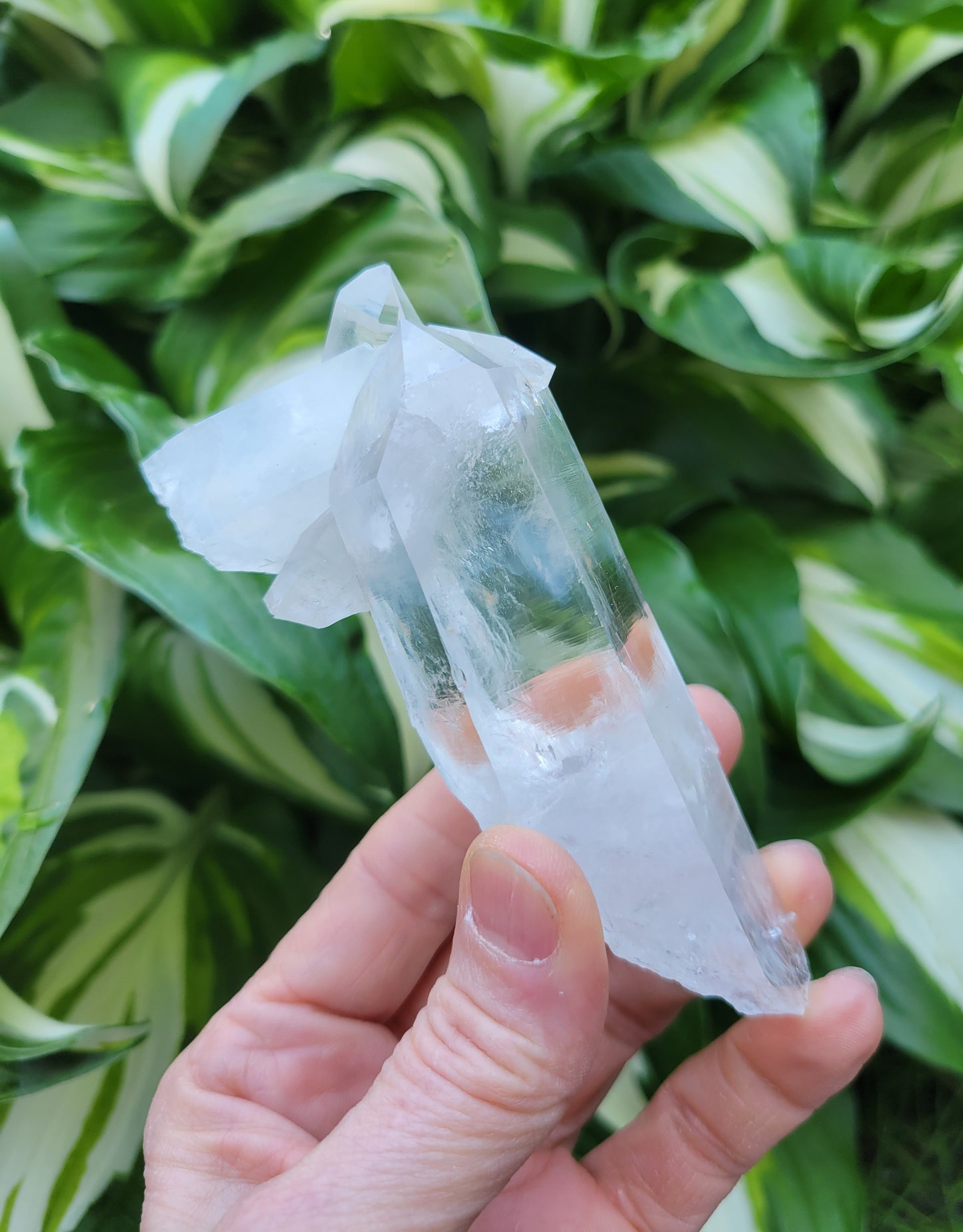 Quartz Cluster (Blue Mist) from Santander, Colombia
