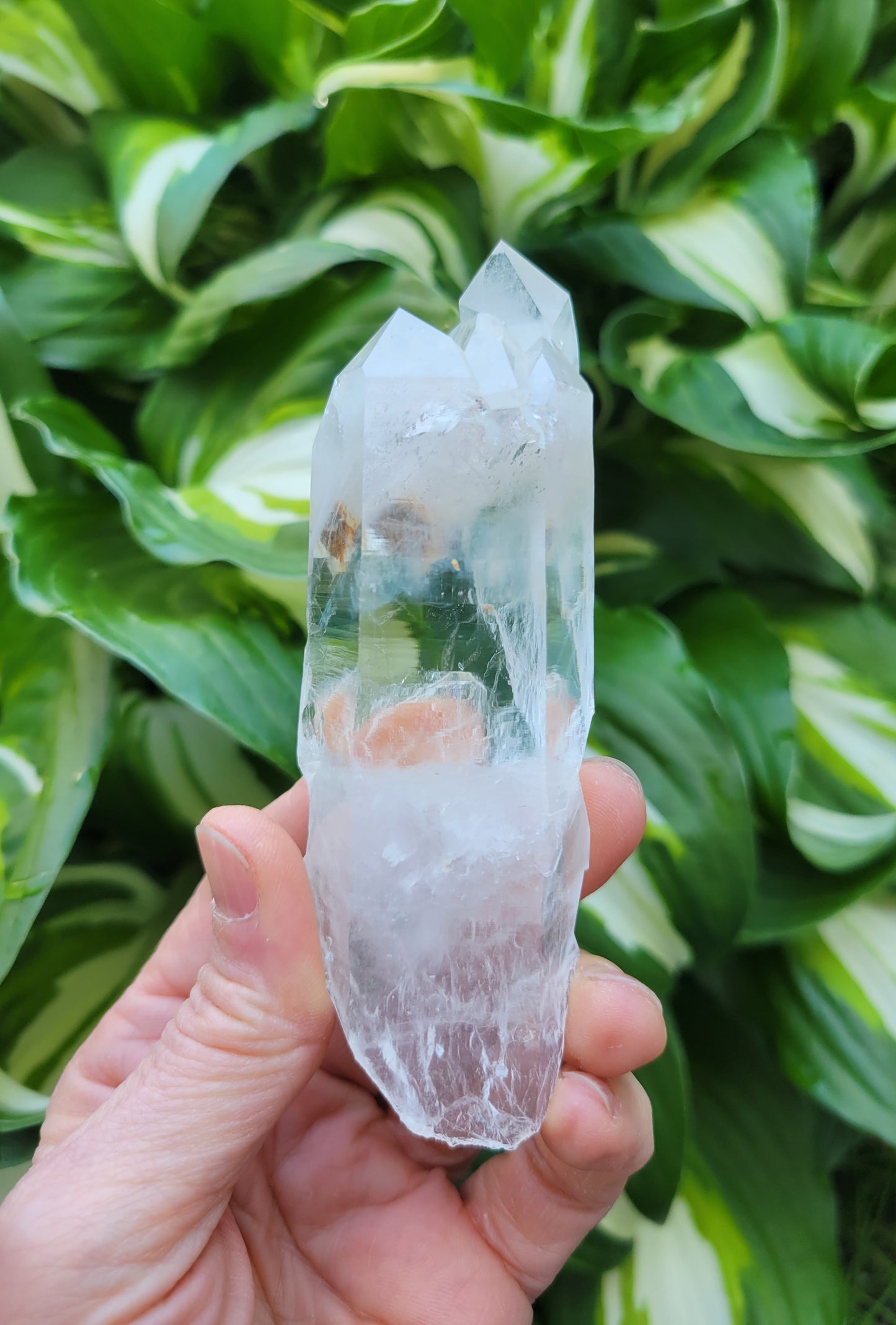 Quartz Cluster (Blue Mist) from Santander, Colombia