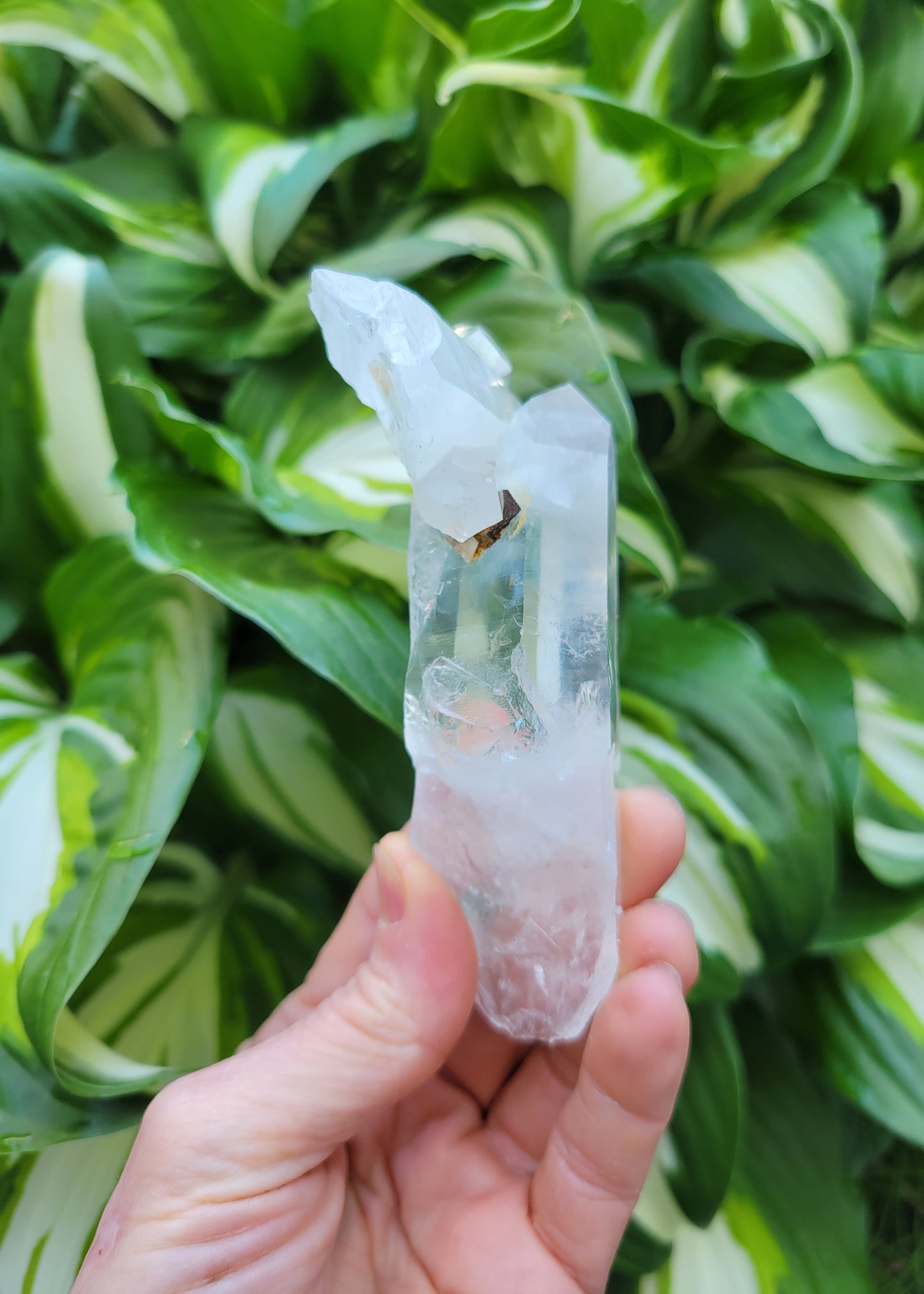 Quartz Cluster (Blue Mist) from Santander, Colombia