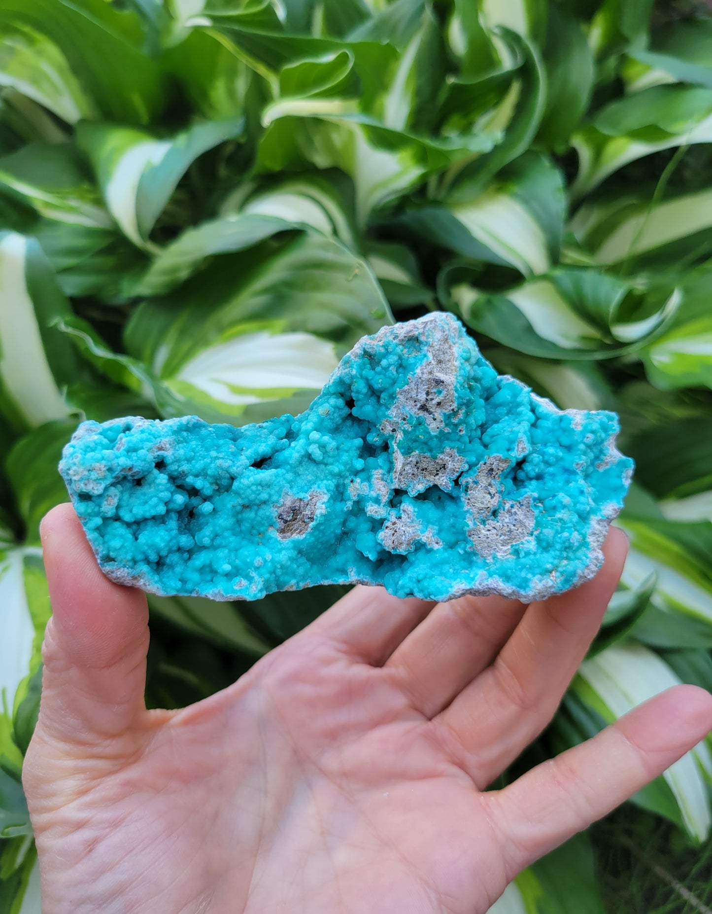Hemimorphite and Veszelyite from Palabanda, M'fouati, Congo
