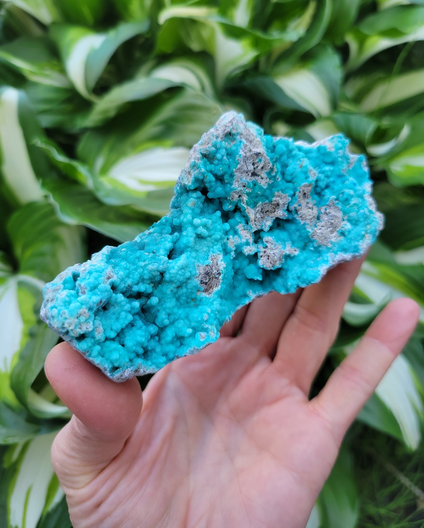 Hemimorphite and Veszelyite from Palabanda, M'fouati, Congo