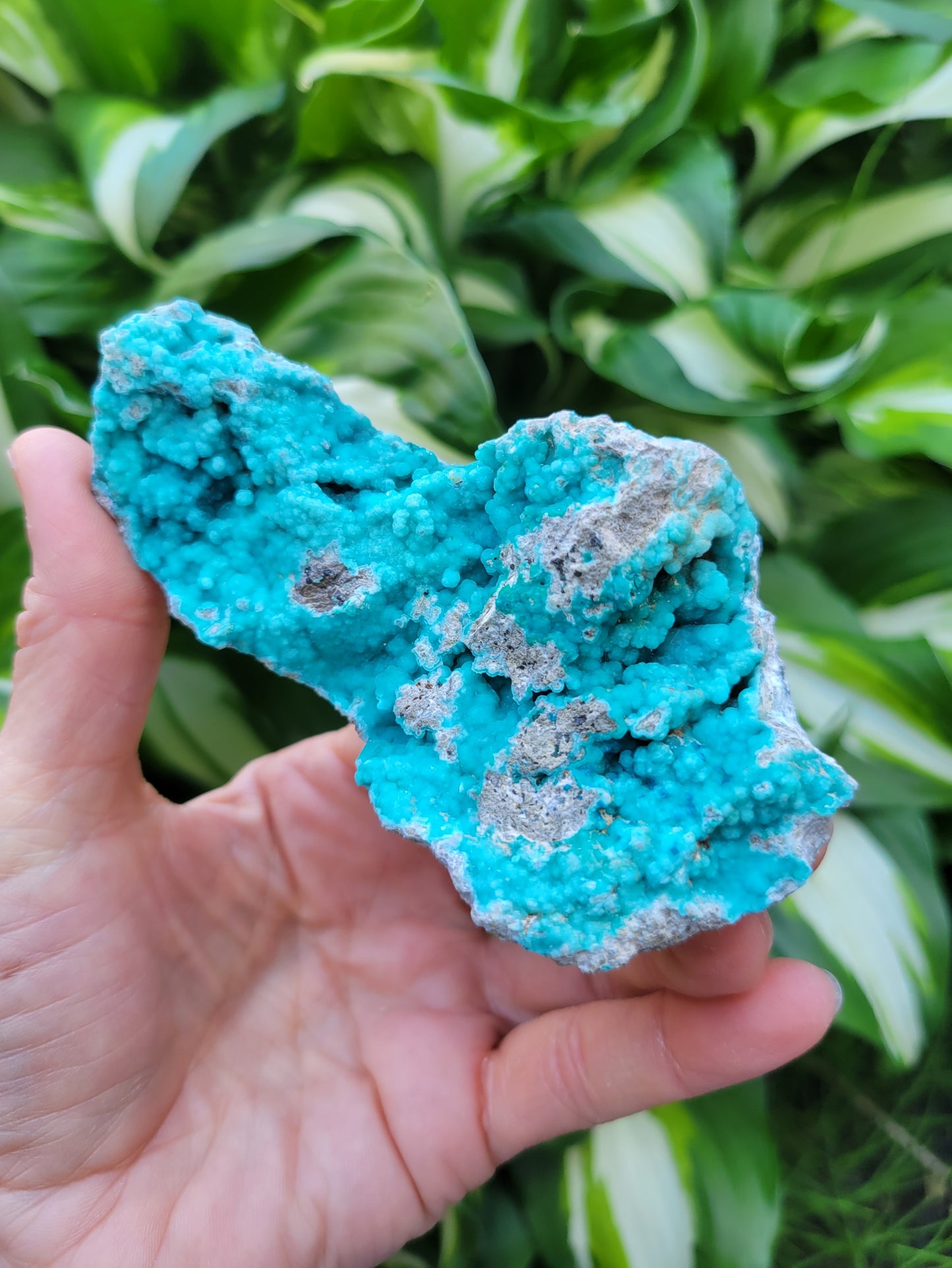 Hemimorphite and Veszelyite from Palabanda, M'fouati, Congo