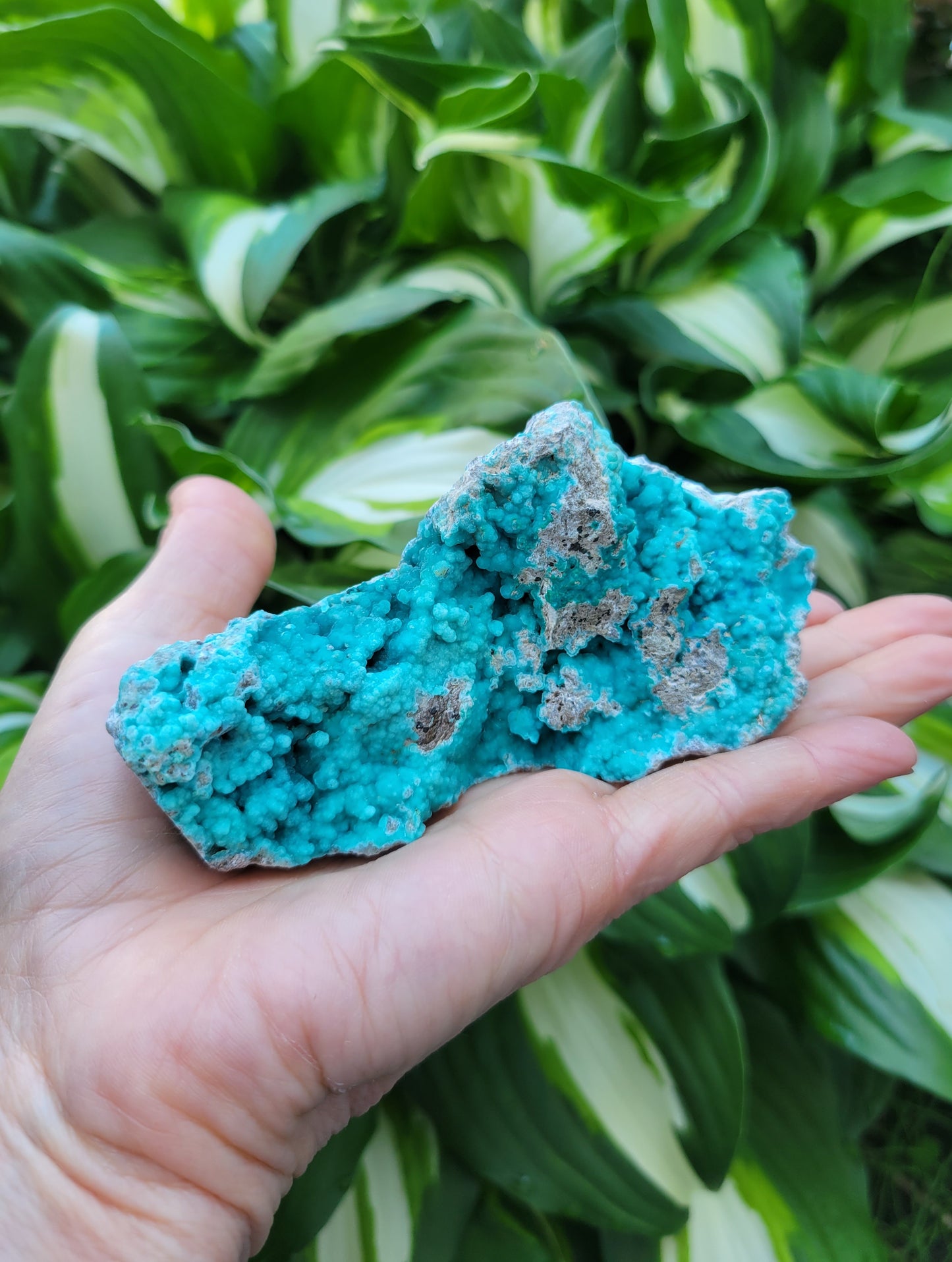 Hemimorphite and Veszelyite from Palabanda, M'fouati, Congo