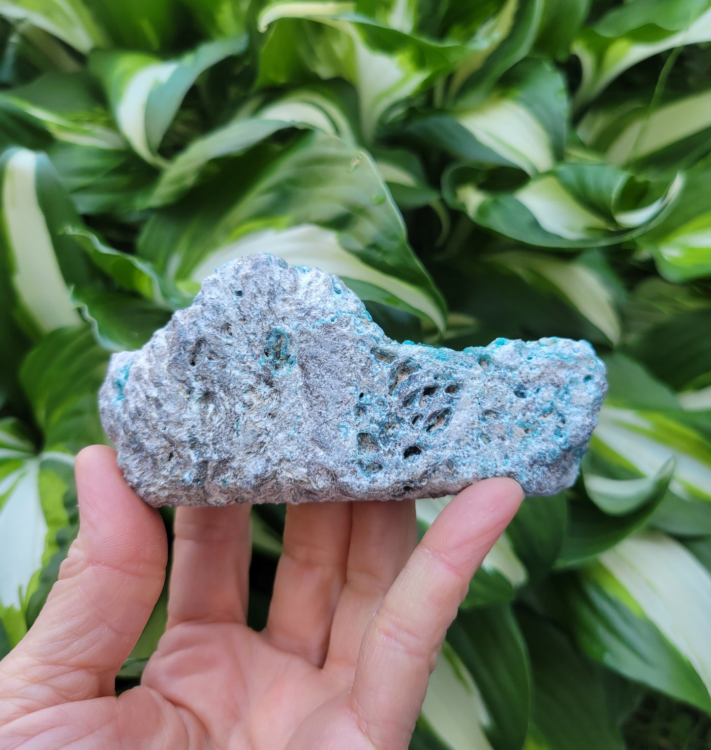 Hemimorphite and Veszelyite from Palabanda, M'fouati, Congo