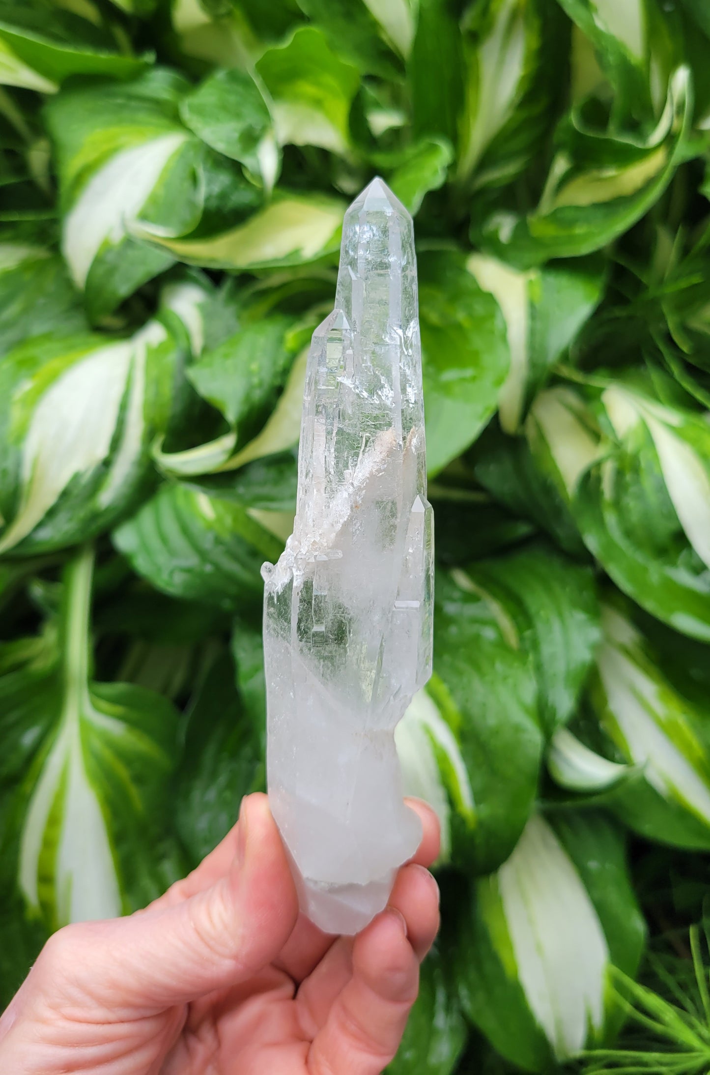 Quartz (Laser) from Brazil