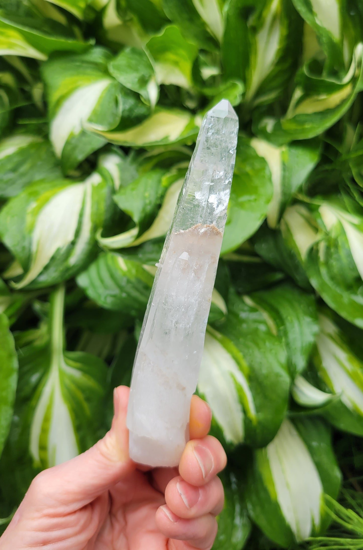 Quartz (Laser) from Brazil