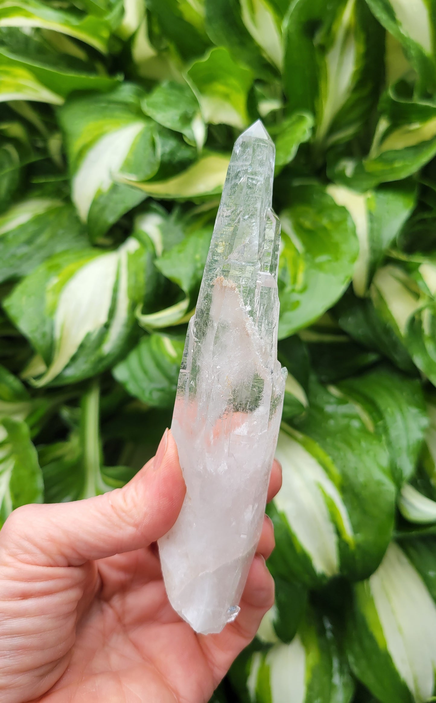 Quartz (Laser) from Brazil