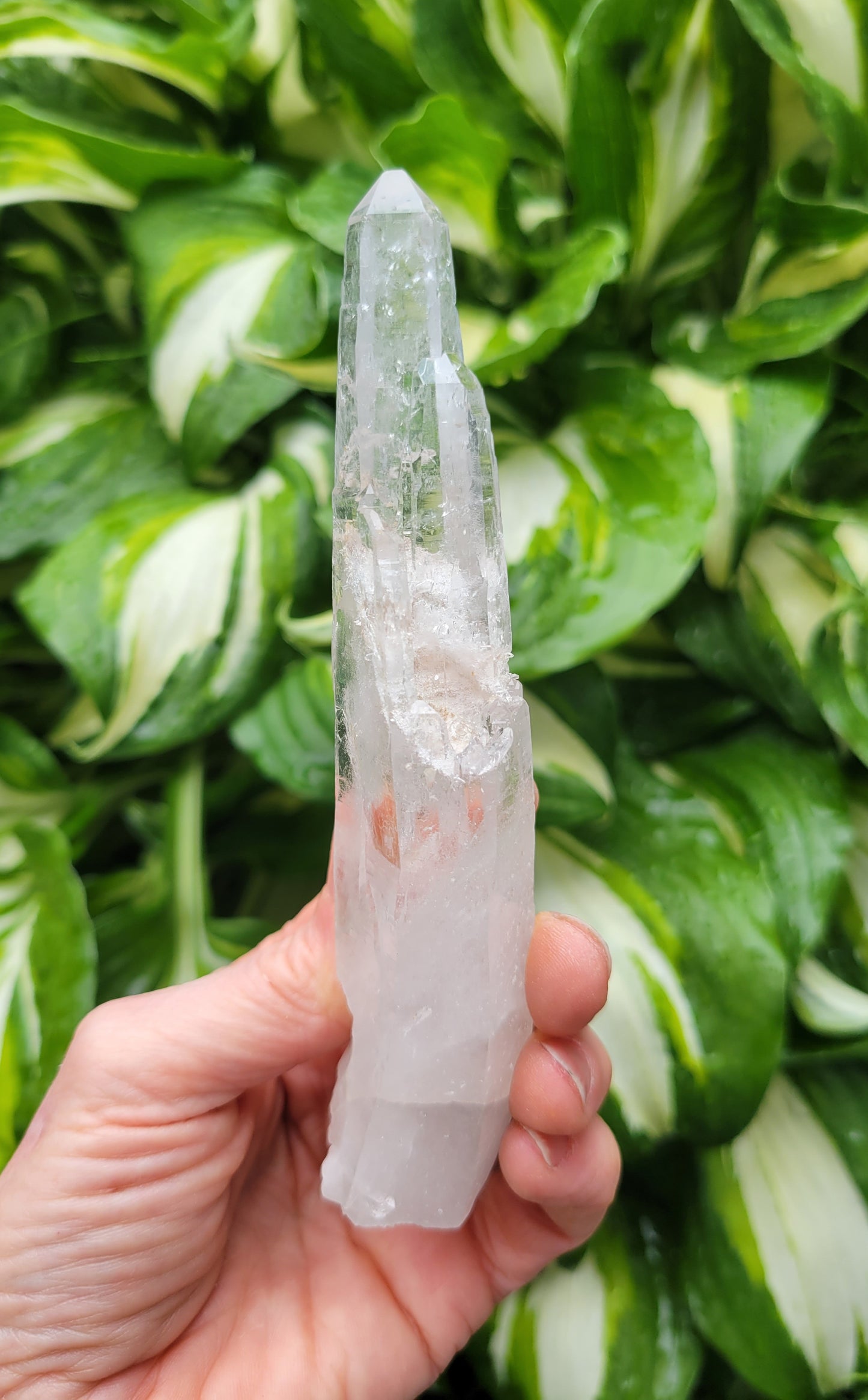Laser Quartz from Brazil