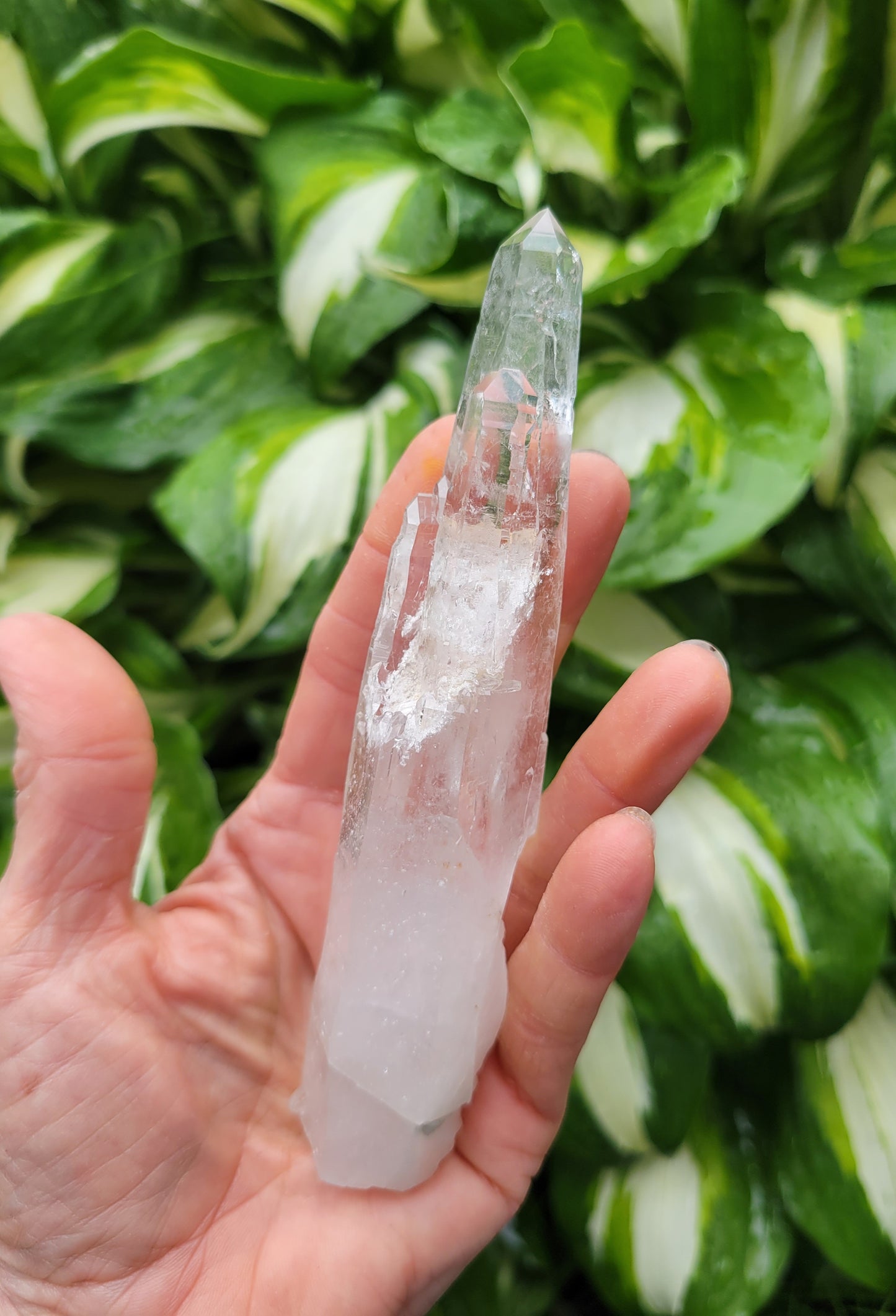 Quartz (Laser) from Brazil