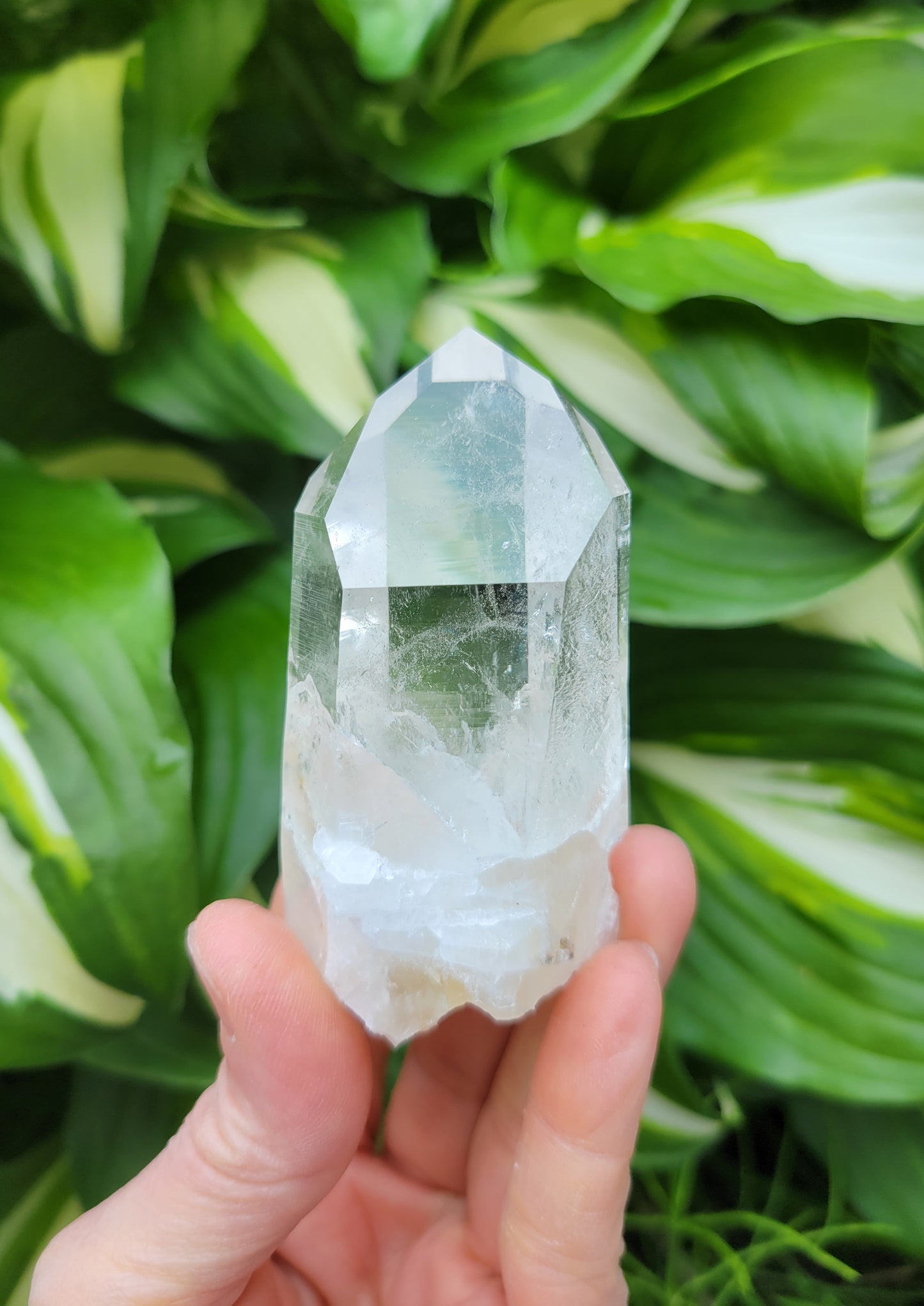 Quartz Point from Santander, Colombia