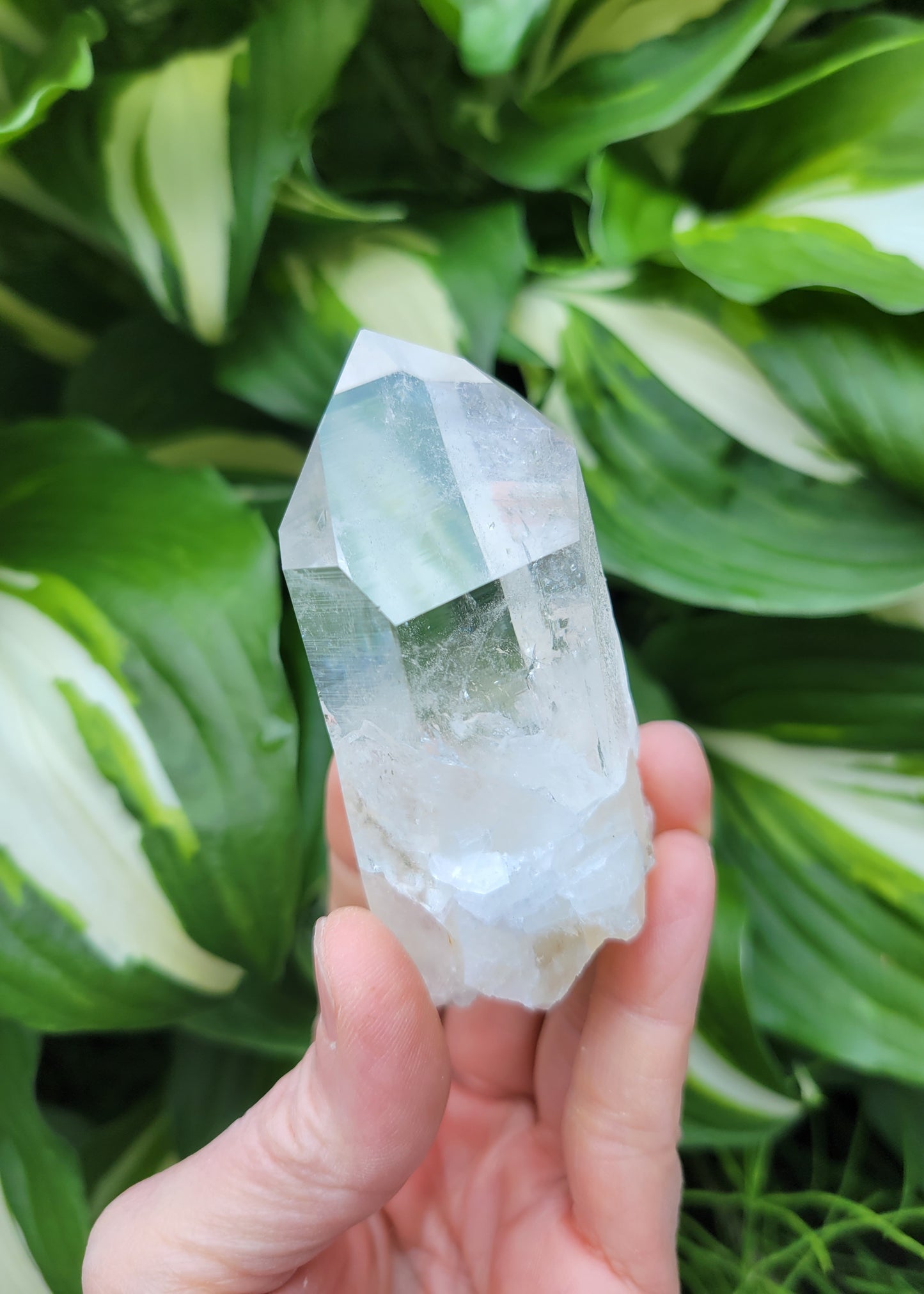 Quartz Point from Santander, Colombia