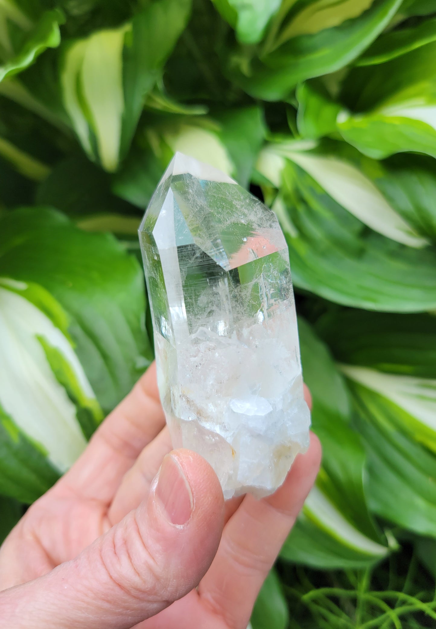Quartz Point from Santander, Colombia