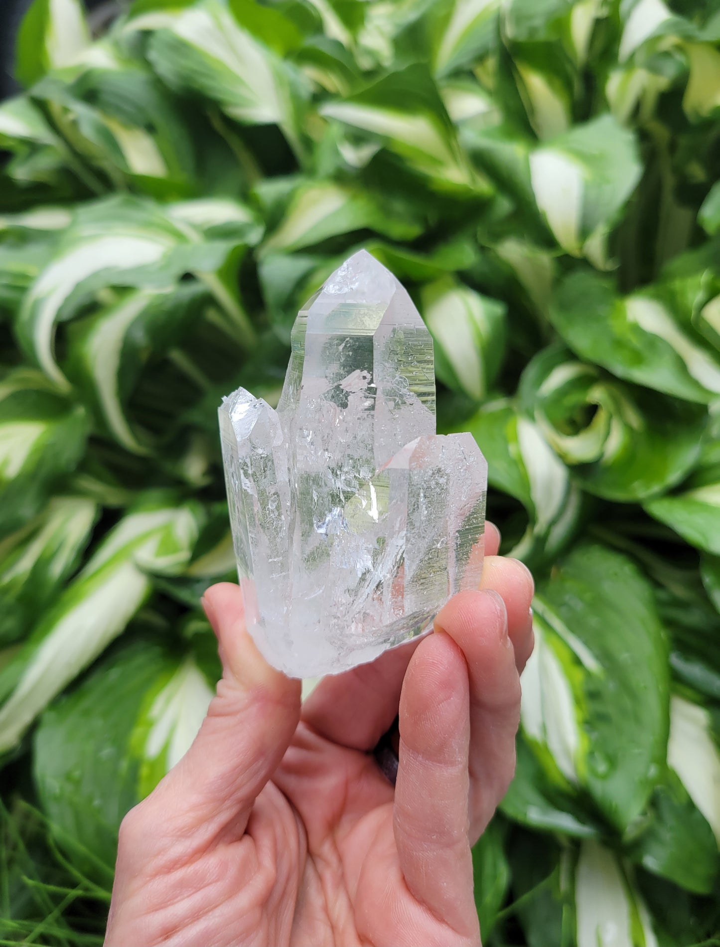Quartz from Colombia