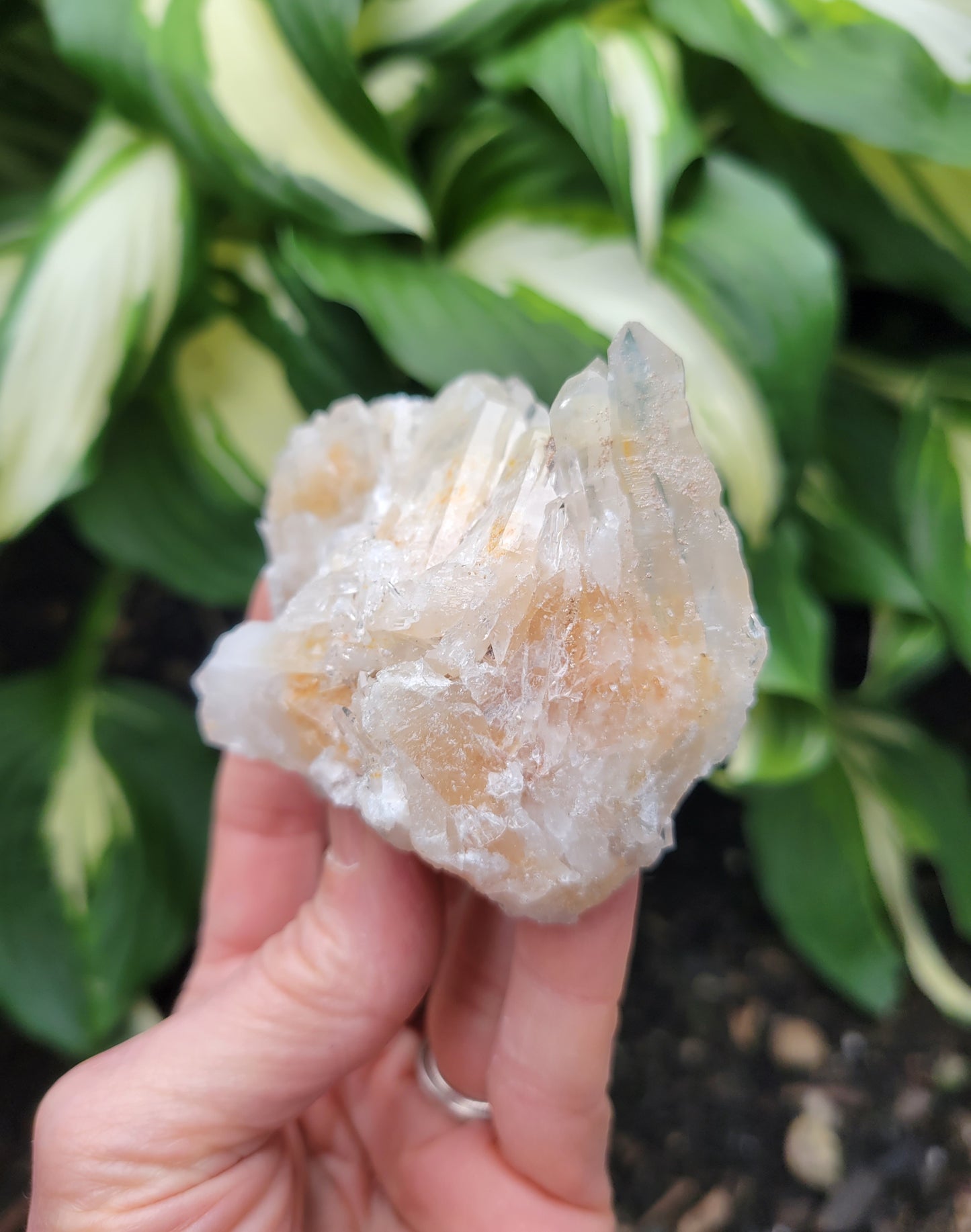 Faden Quartz with Lithium and Iron from Santander, Colombia