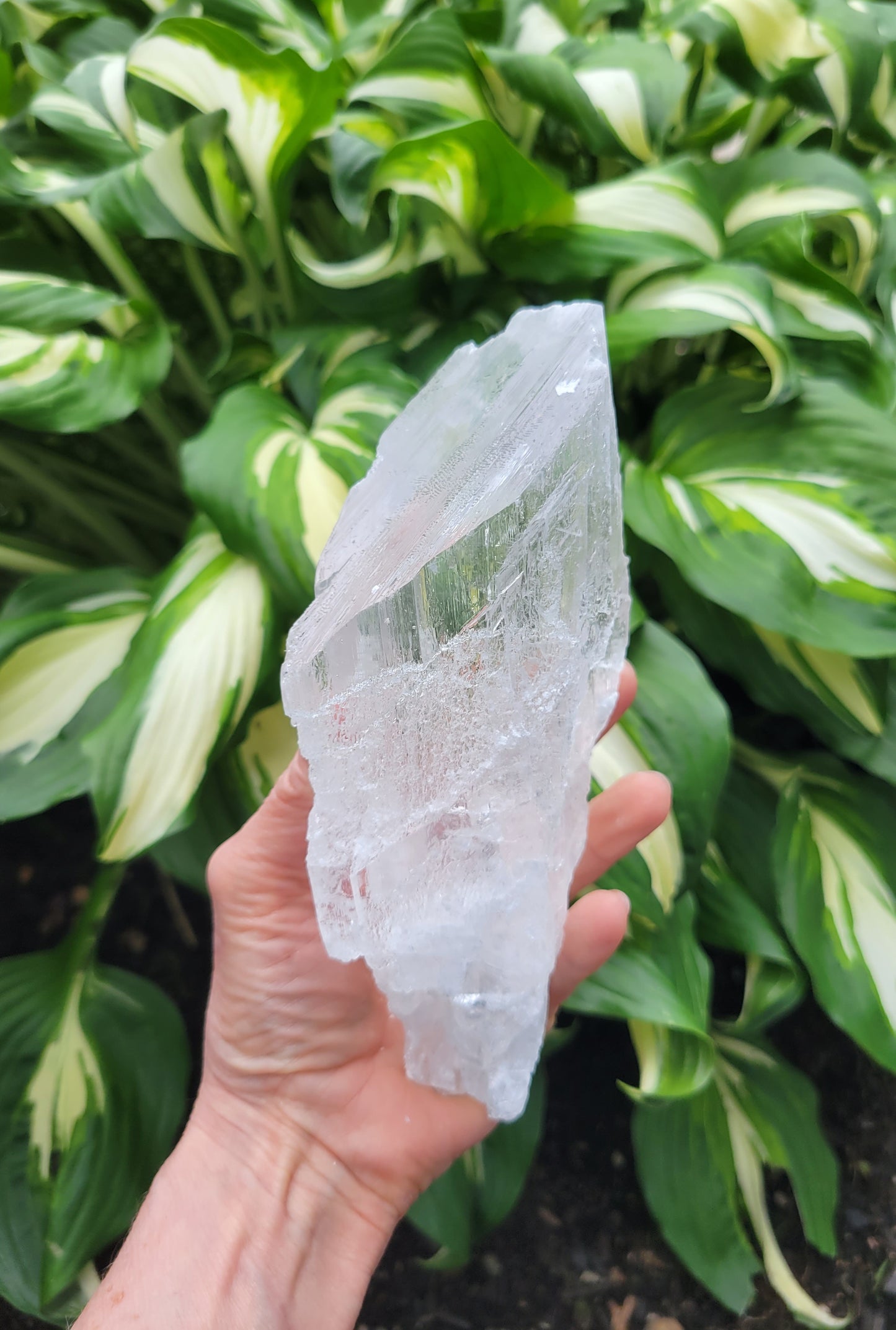 Selenite from Mexico