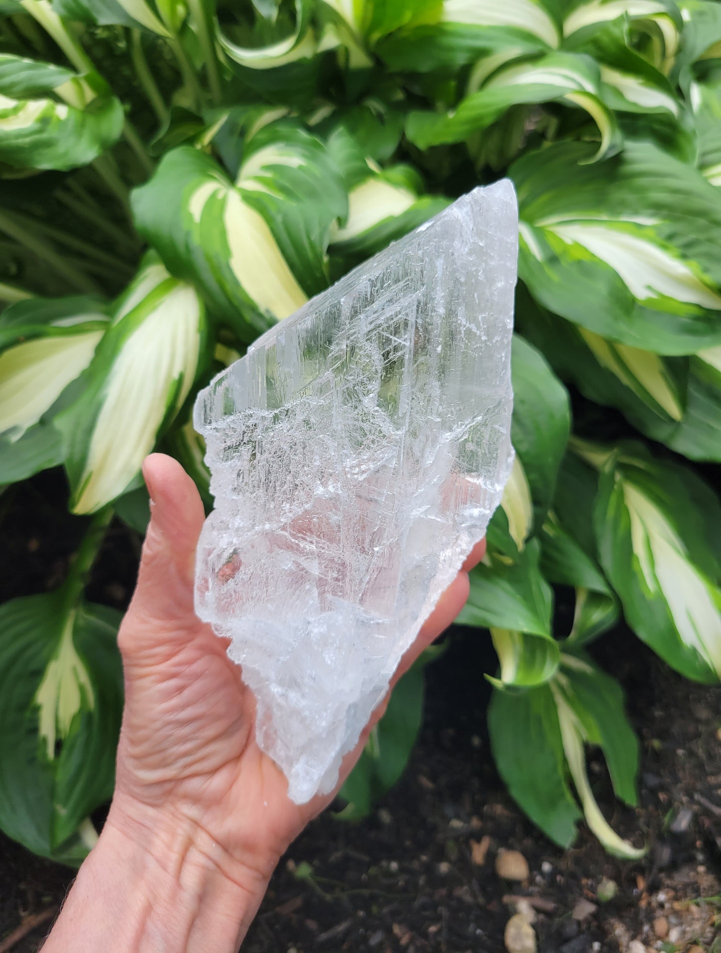 Selenite from Mexico