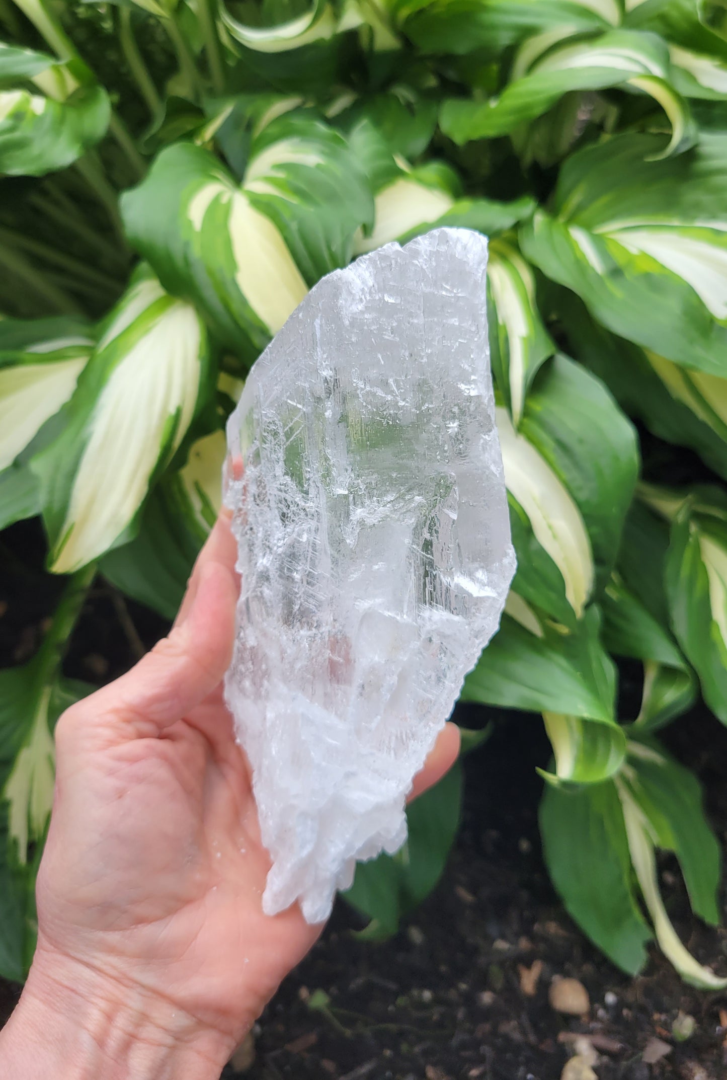 Selenite from Mexico