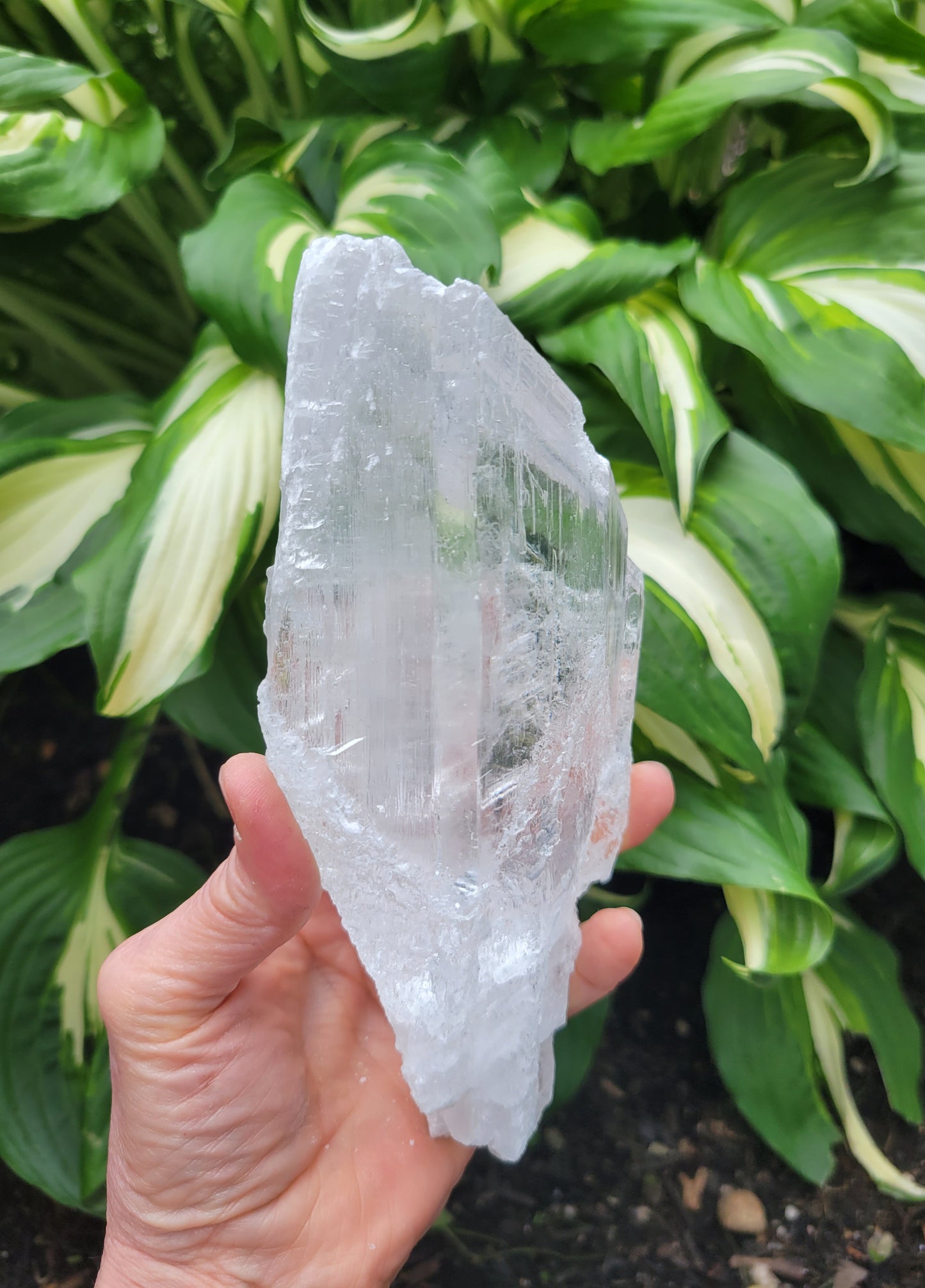 Selenite from Mexico