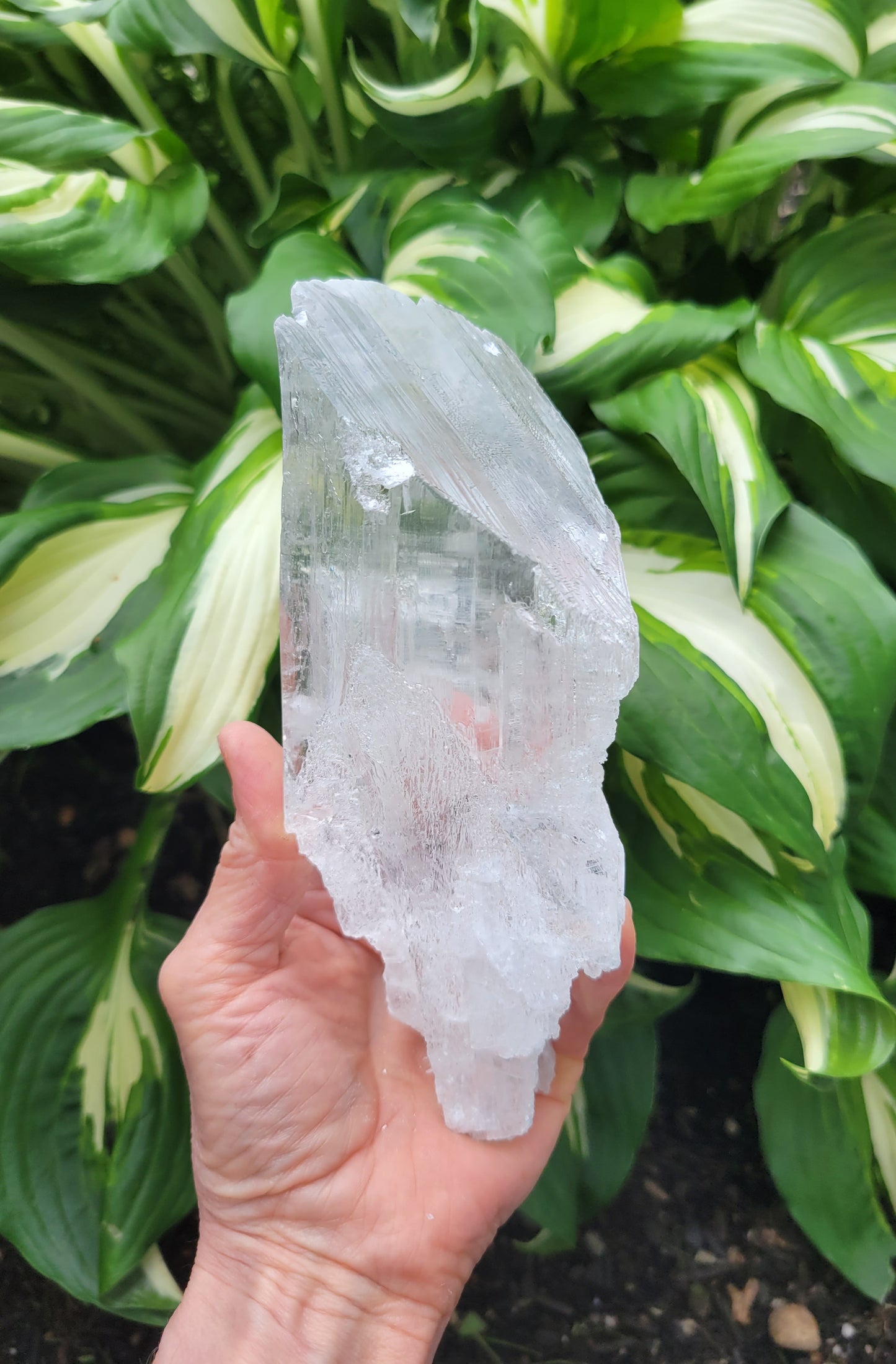 Selenite from Mexico