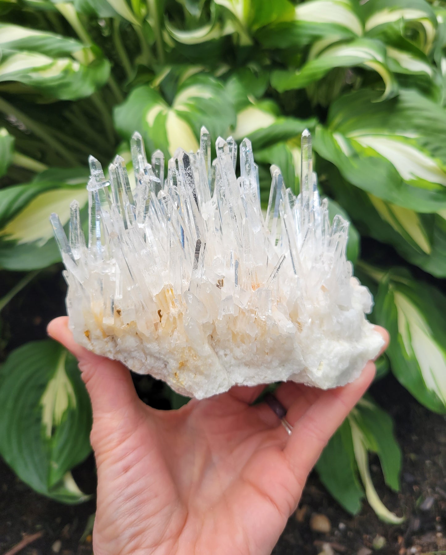 Quartz Cluster from Santander, Colombia