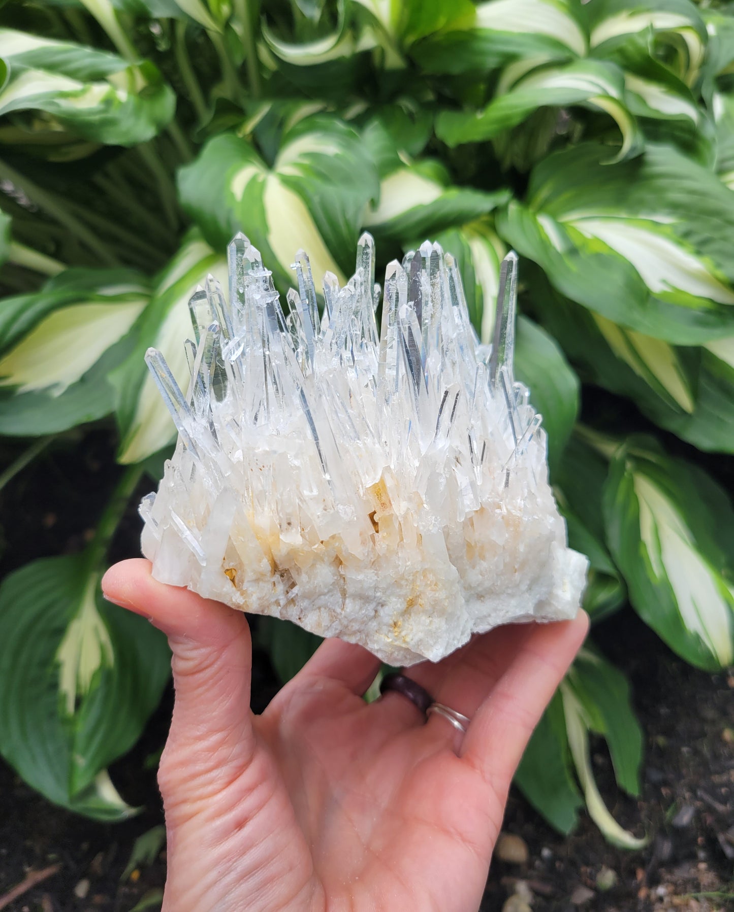 Quartz Cluster from Santander, Colombia