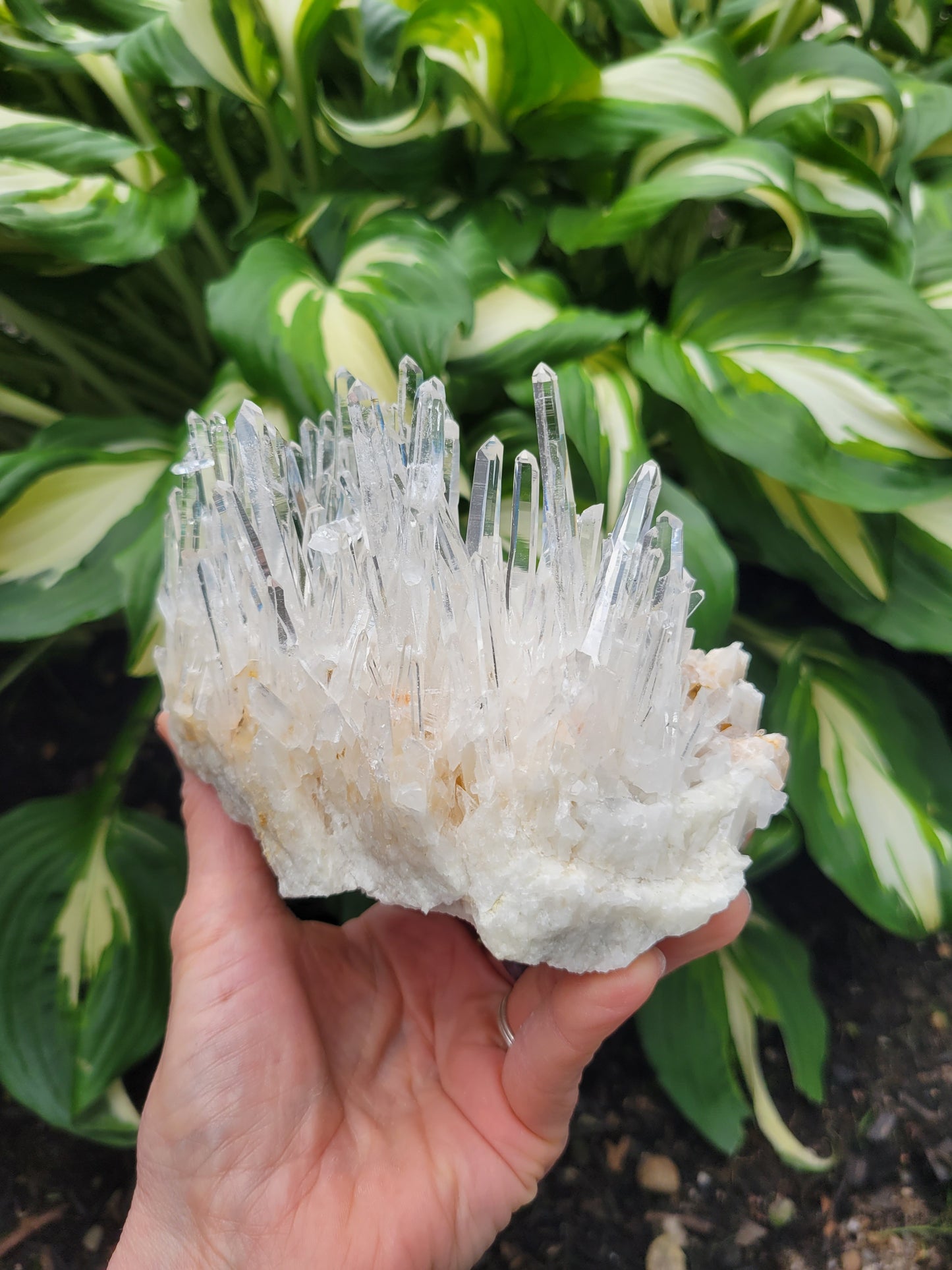 Quartz Cluster from Santander, Colombia