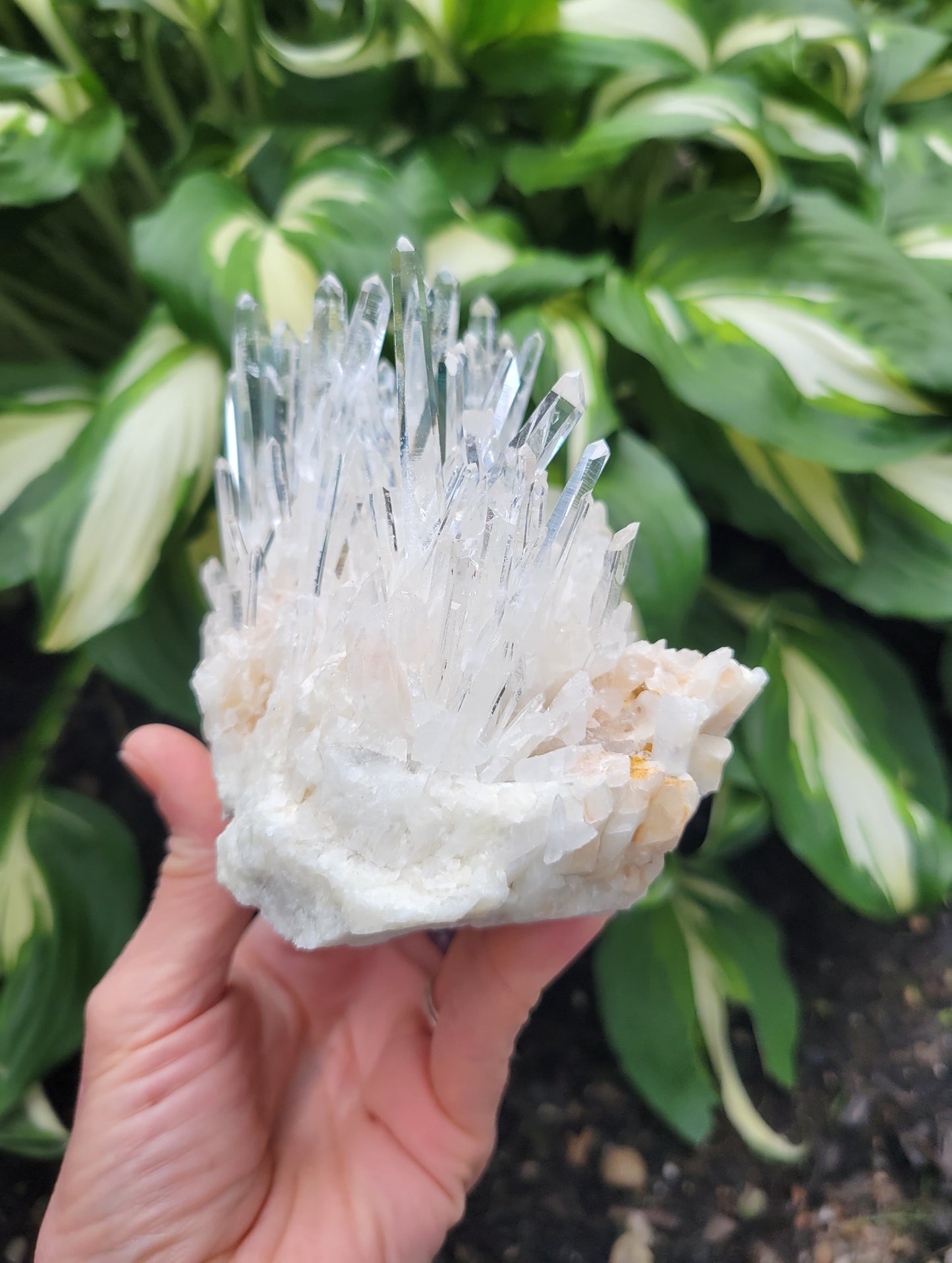 Quartz Cluster from Santander, Colombia