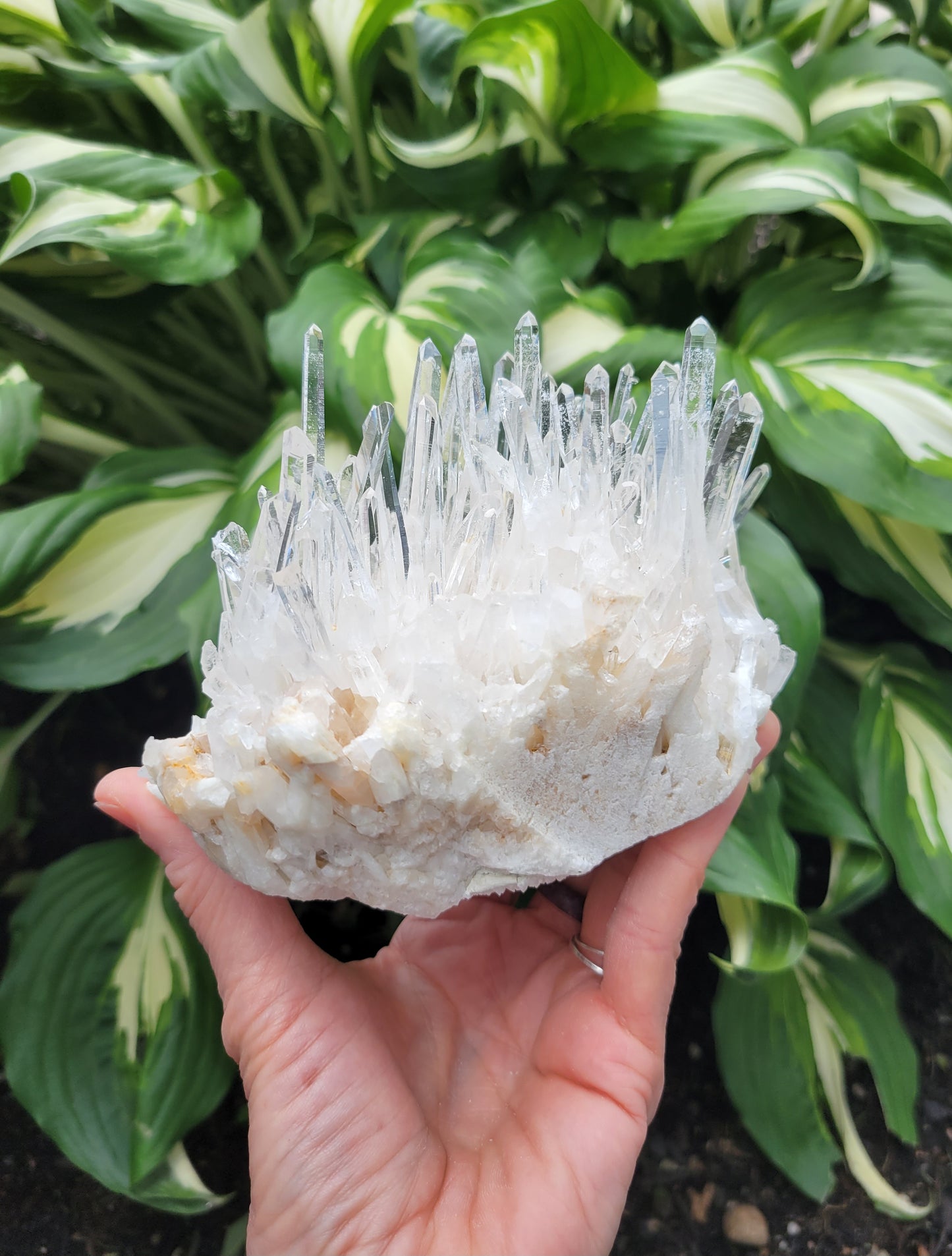 Quartz Cluster from Santander, Colombia