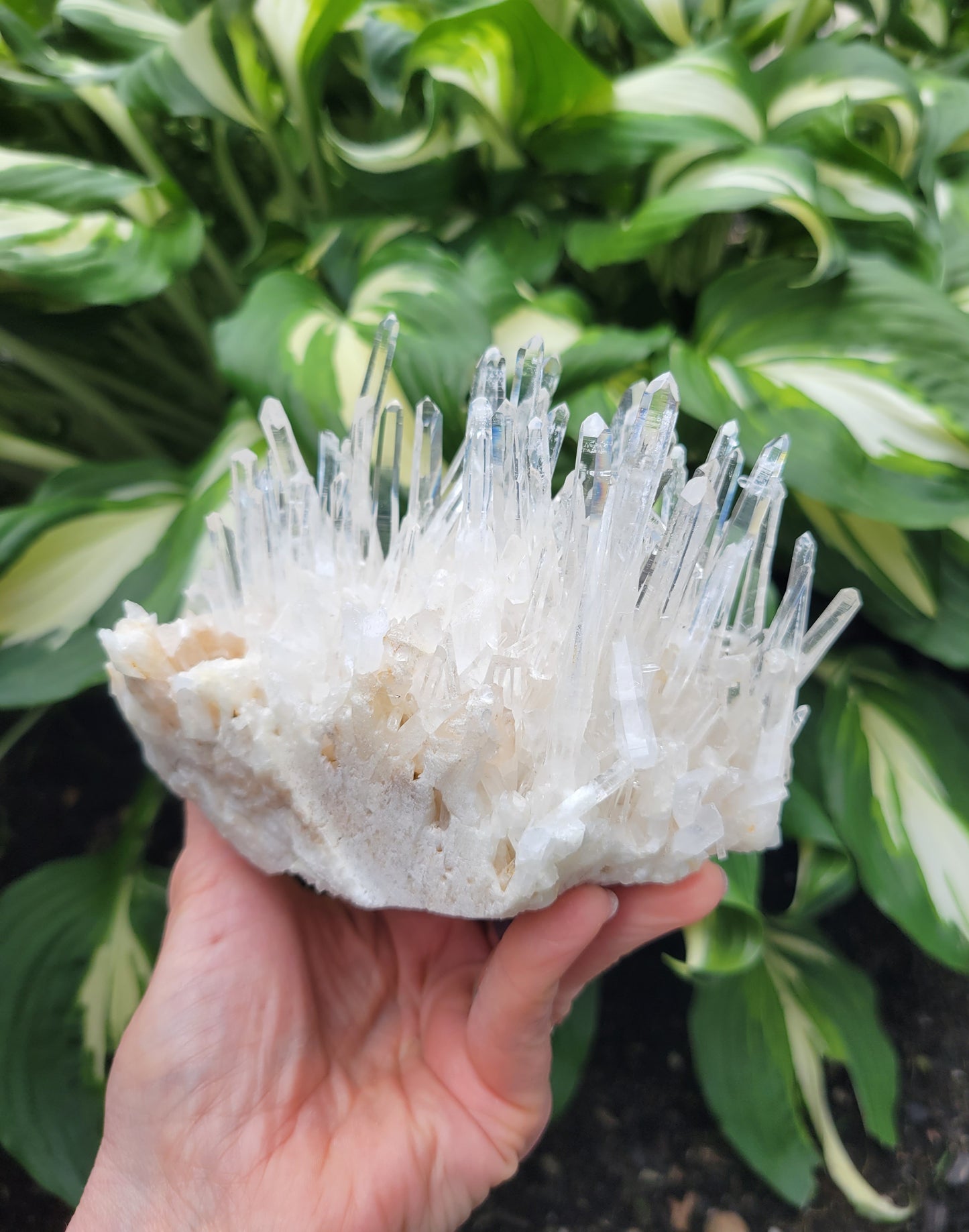 Quartz Cluster from Santander, Colombia