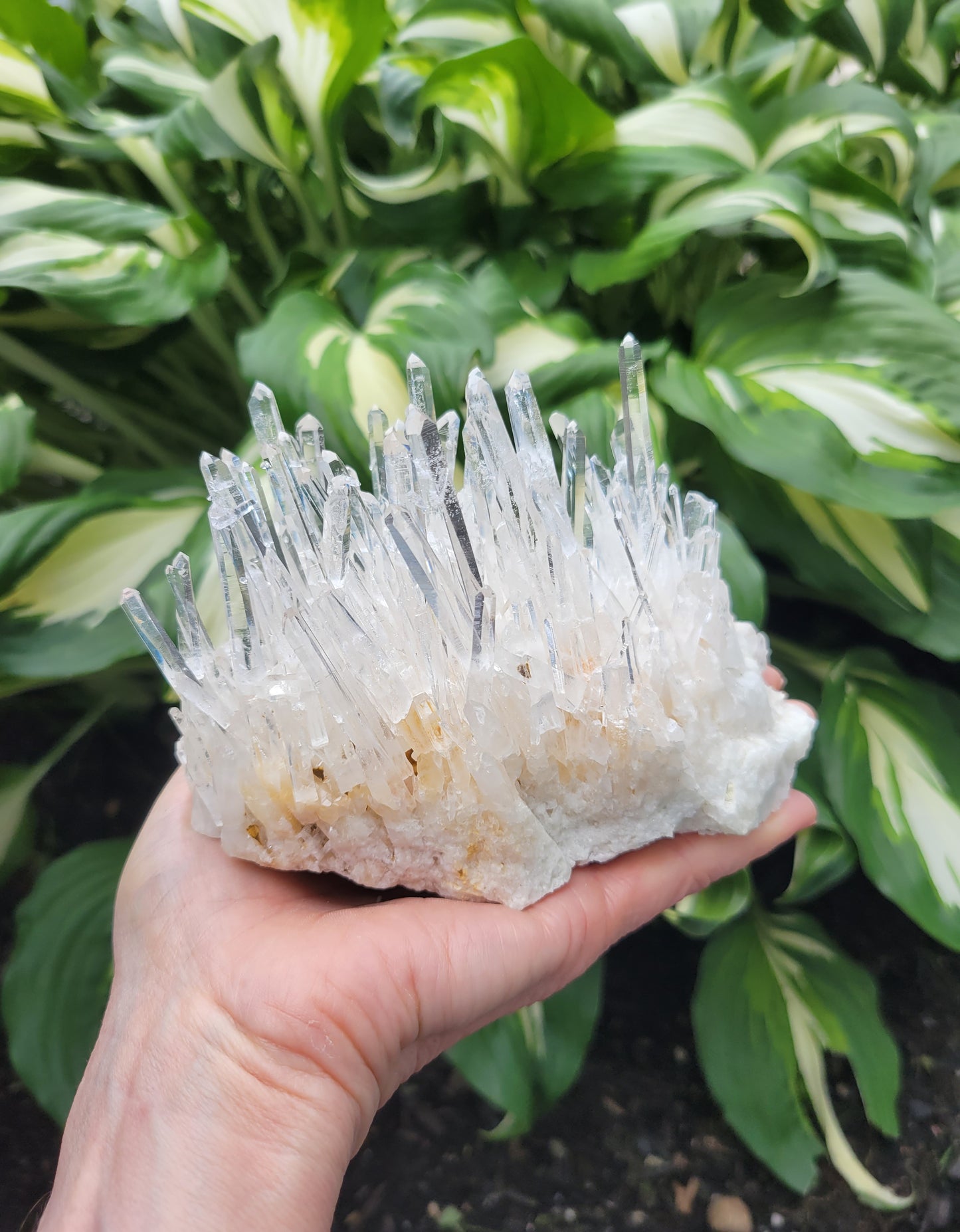 Quartz Cluster from Santander, Colombia