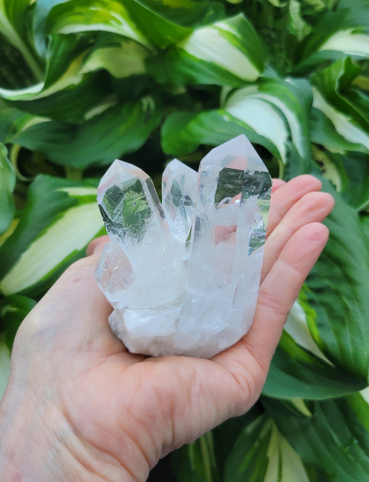 Quartz Cluster from Brazil