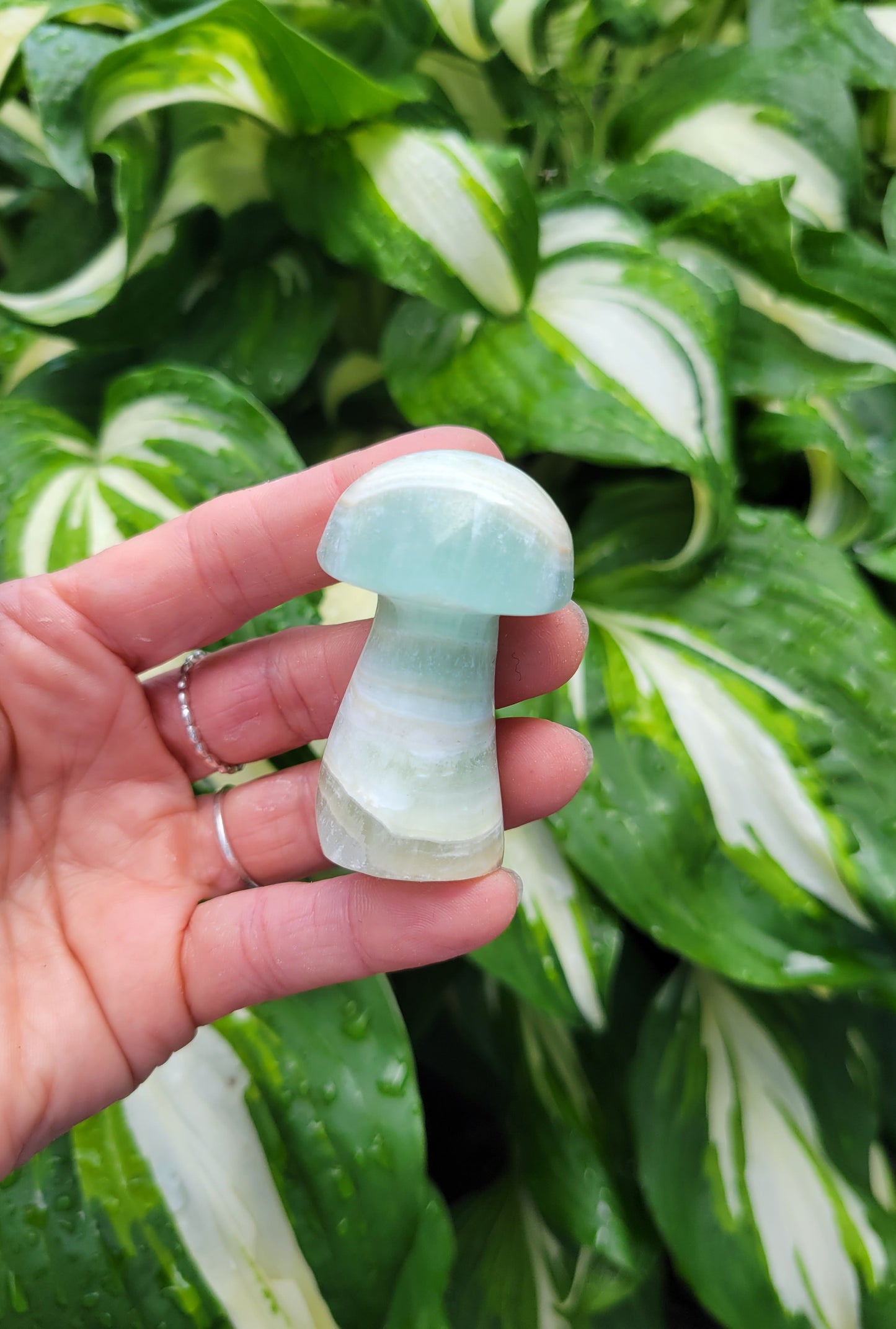 Mushroom SET from Pakistan - Red Calcite, Green Calcite, Pink Calcite