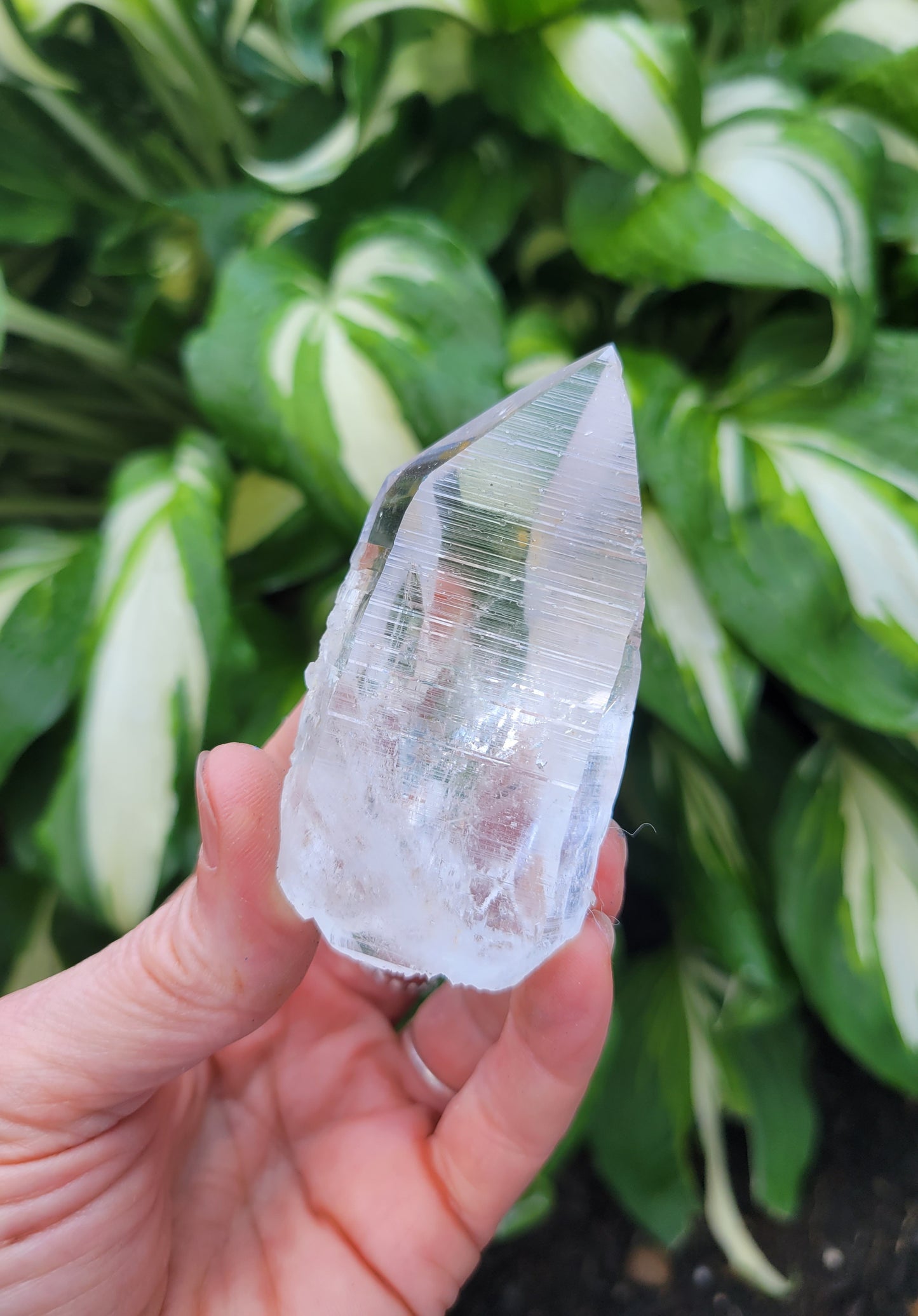 Quartz (Lemurian) from Colombia
