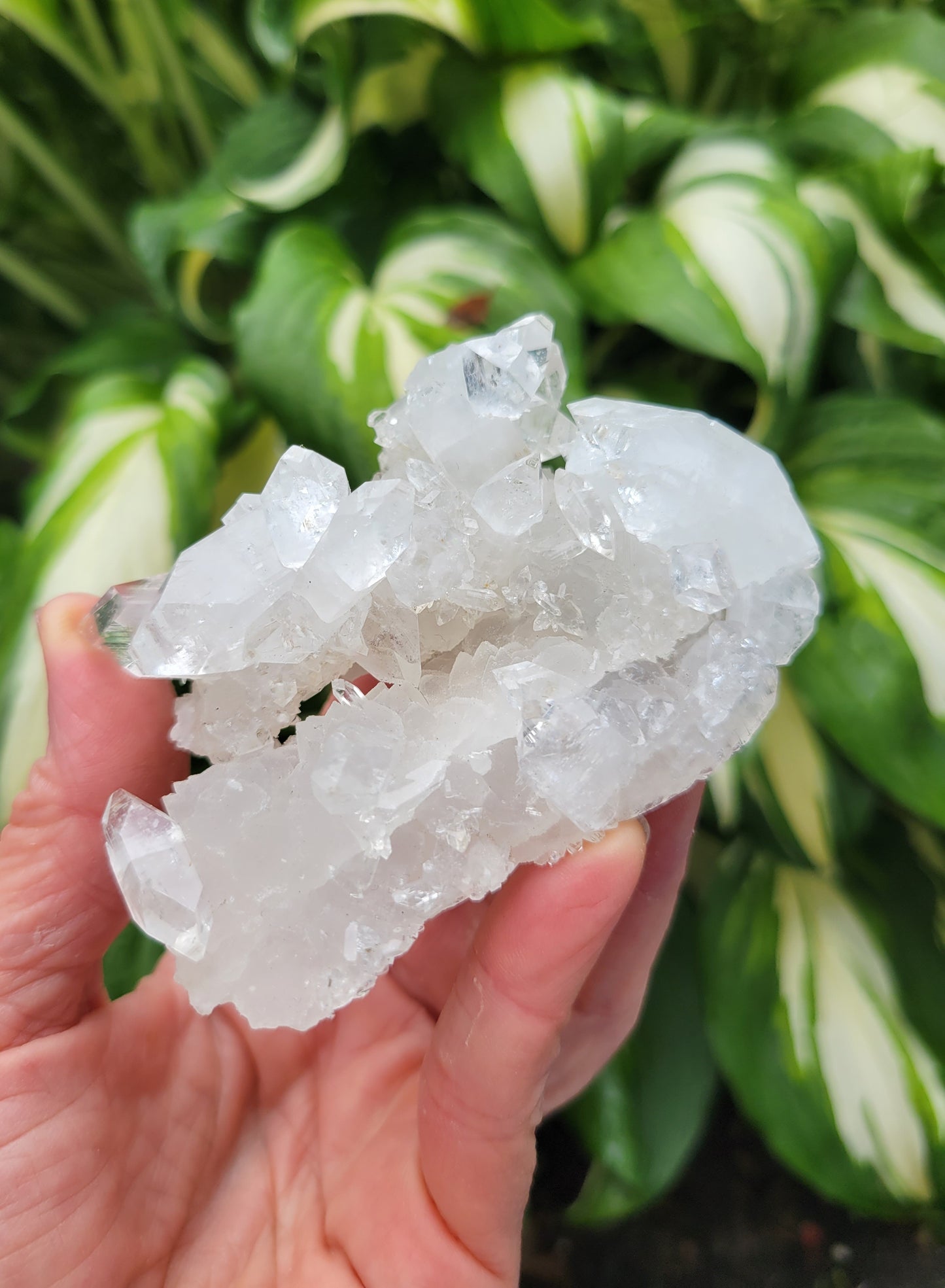 Apophyllite from India