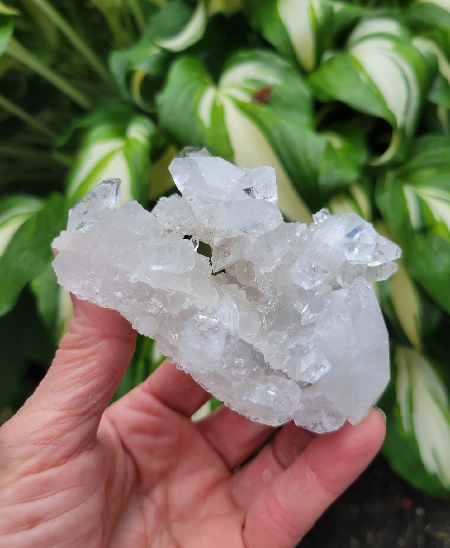 Apophyllite from India