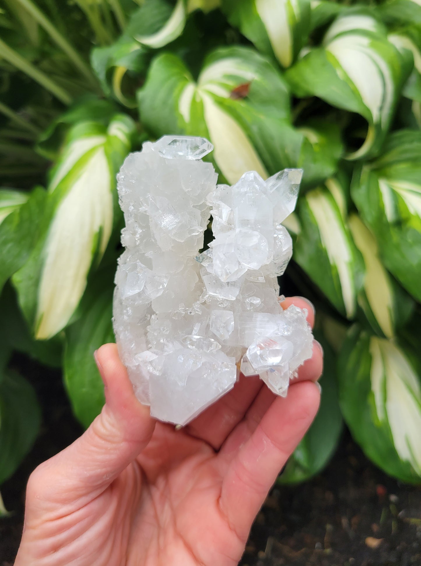 Apophyllite from India