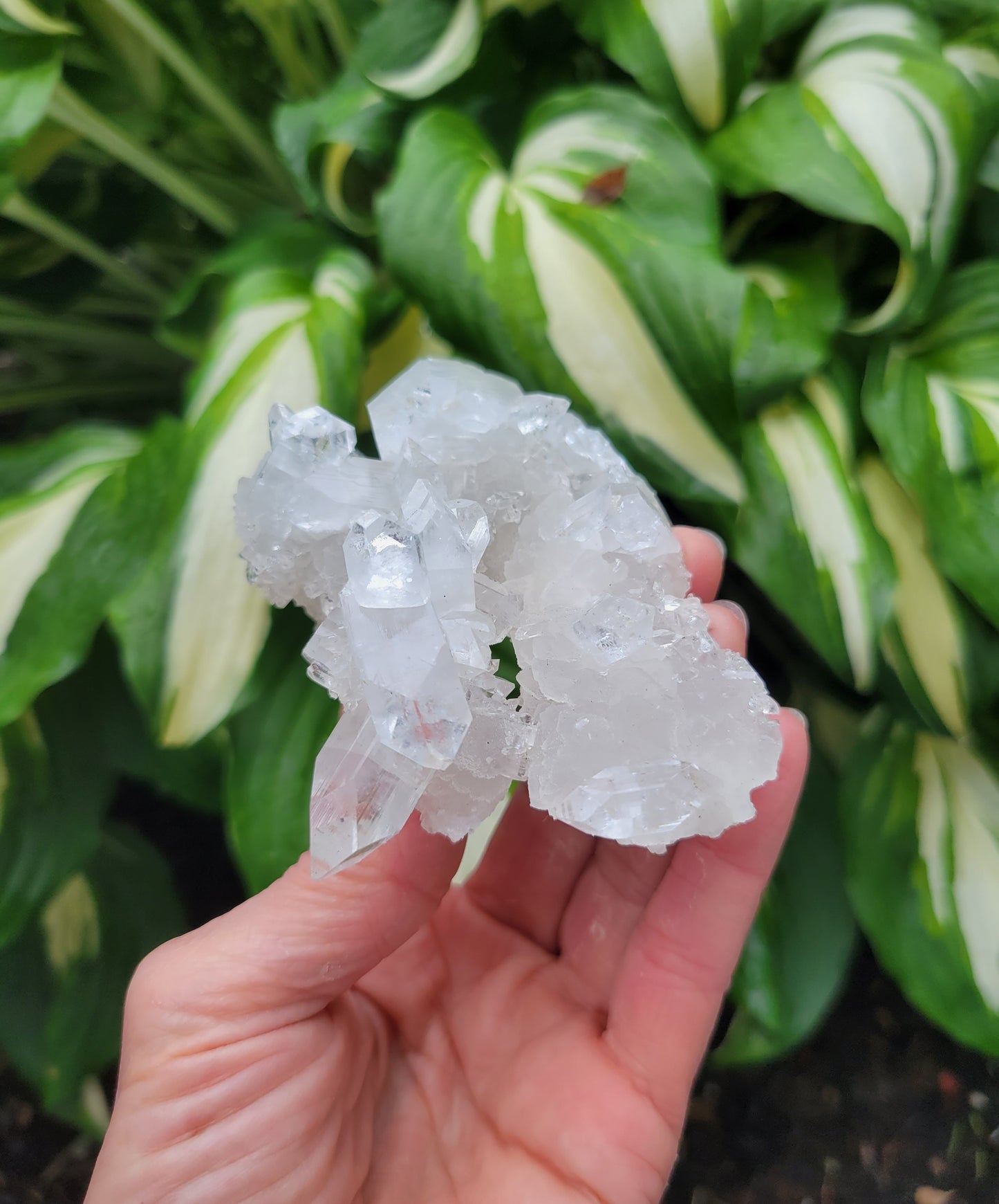 Apophyllite from India