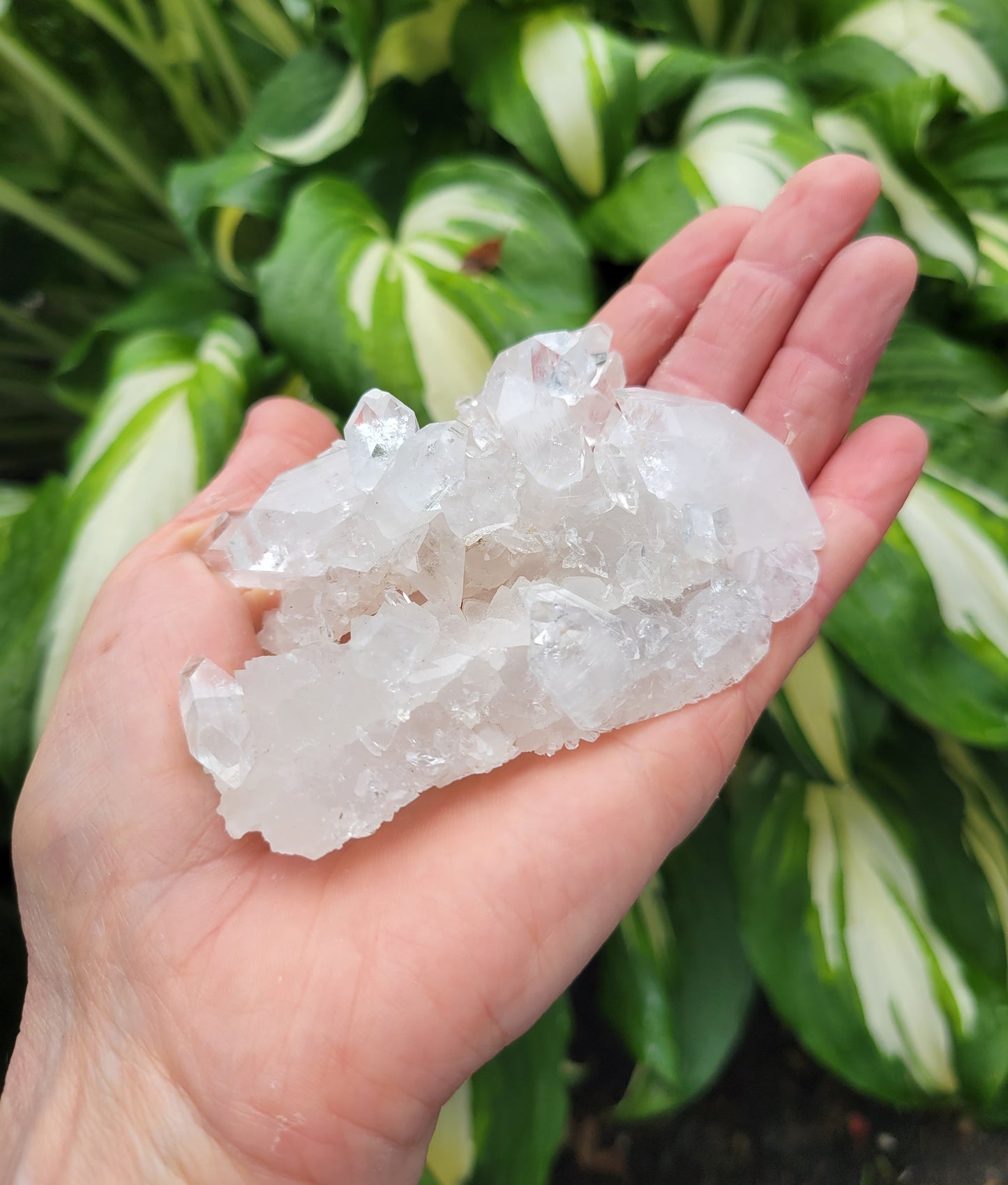 Apophyllite from India