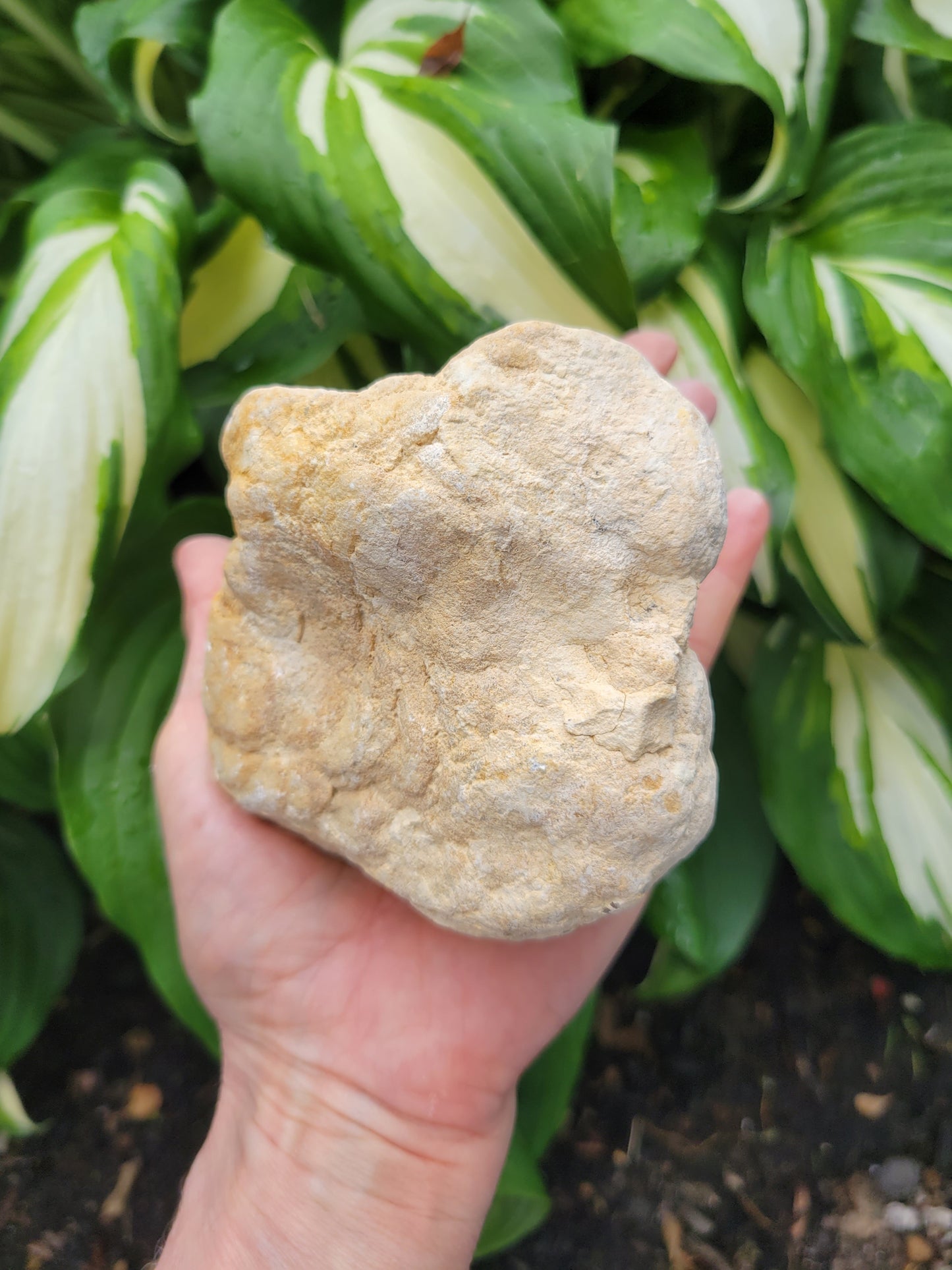 Moroccan Geode with Quartz and Calcite