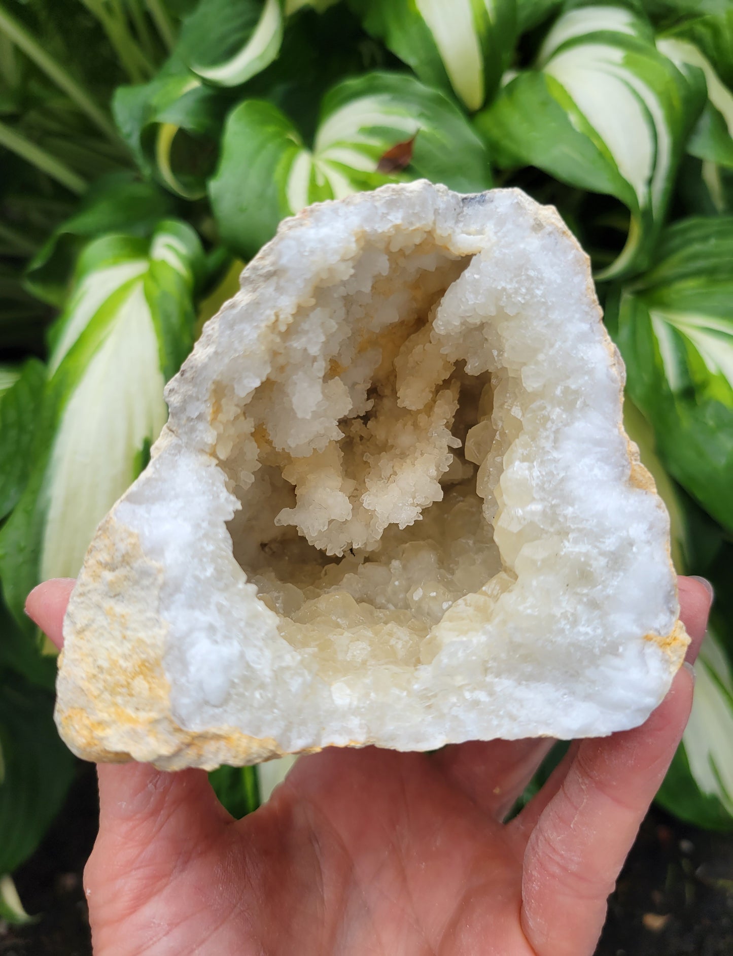 Moroccan Geode with Quartz and Calcite
