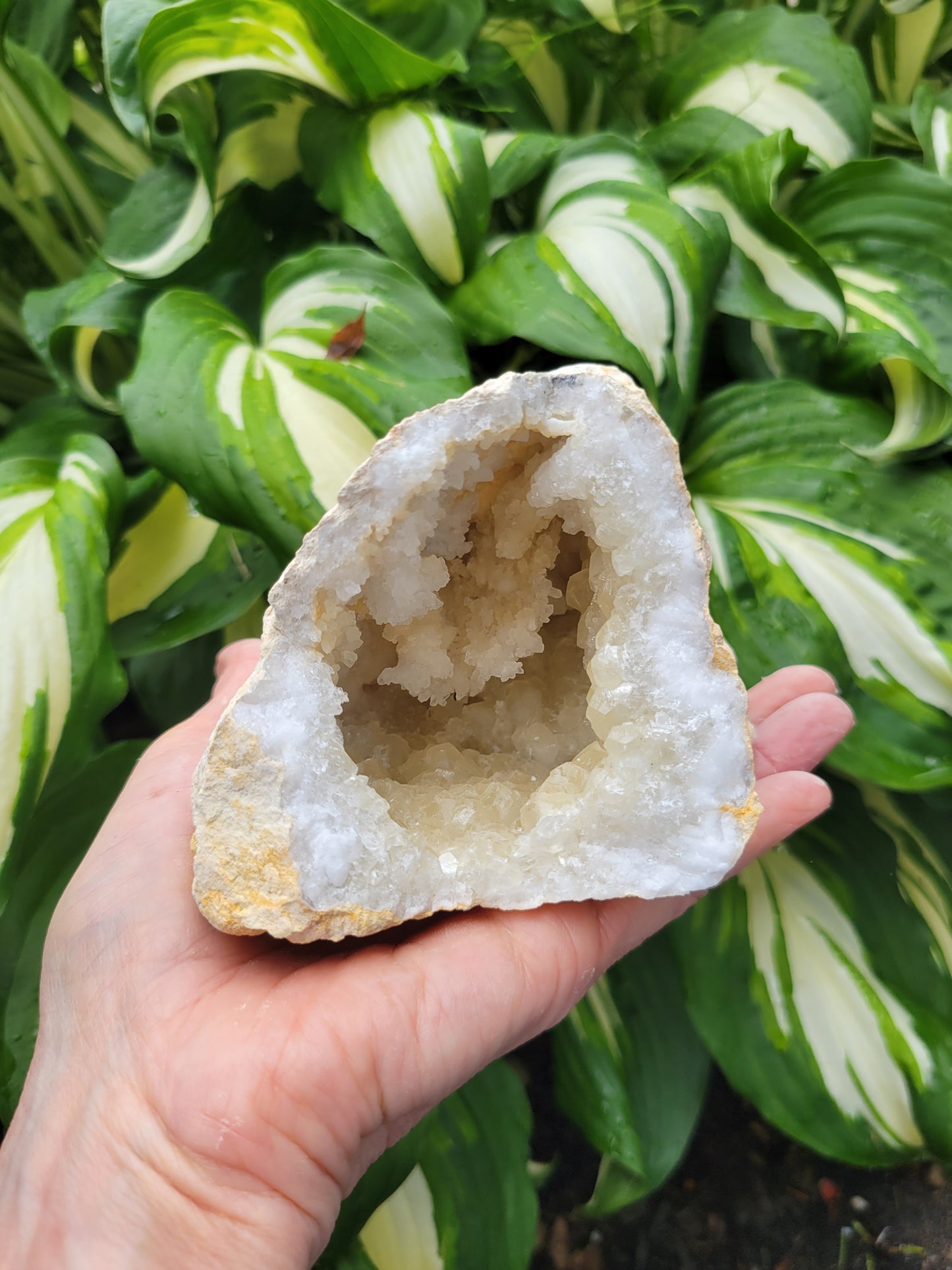 Moroccan Geode with Quartz and Calcite