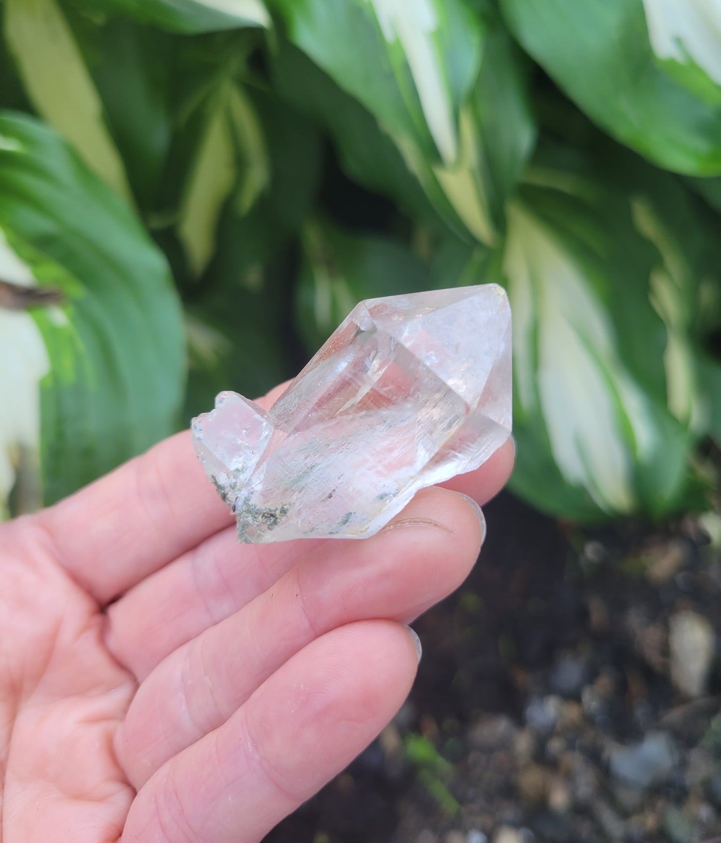 Quartz (Himalayan) Parcel from Himachal Pradesh, India