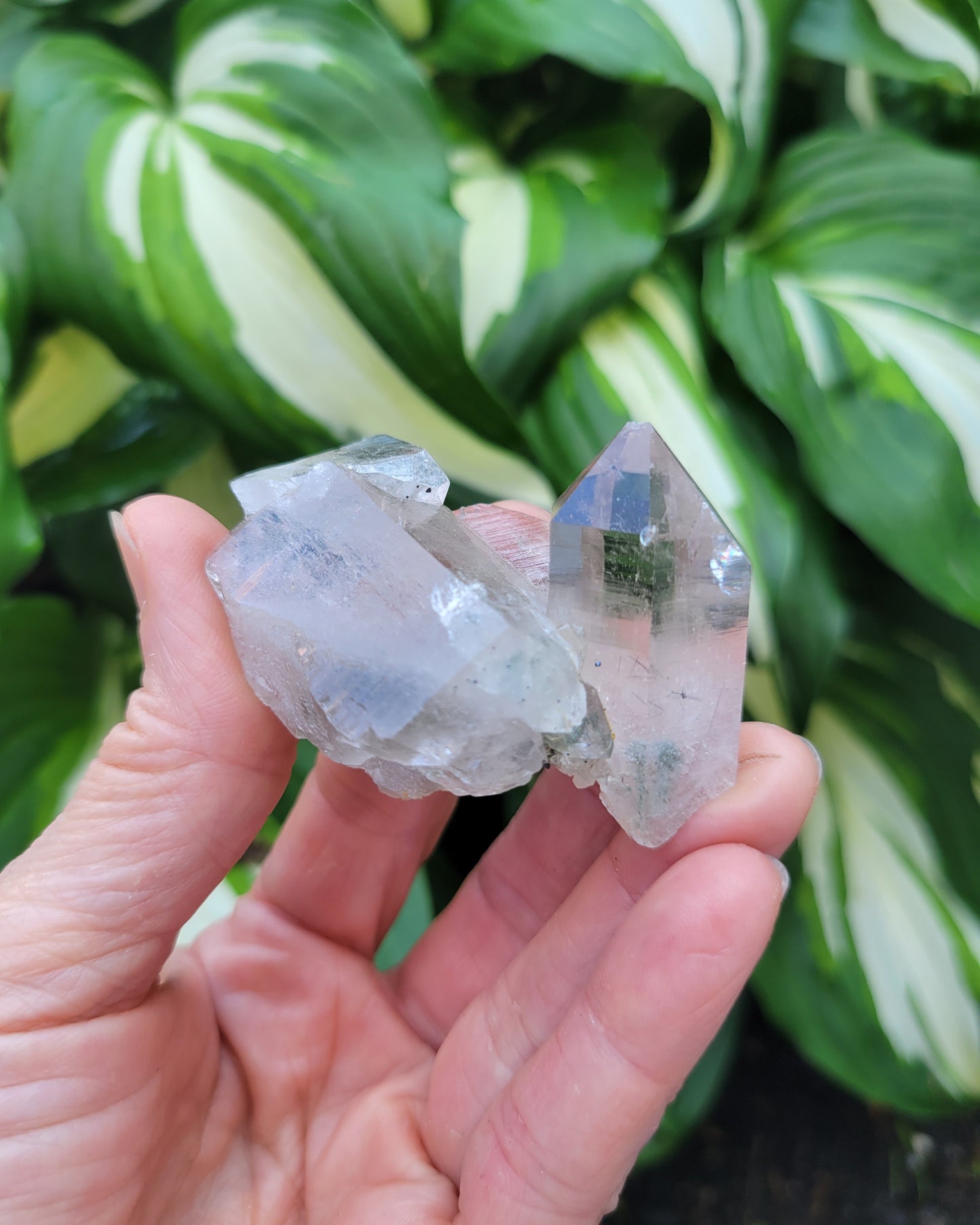 Quartz Cluster (Smokey and Clear Himalayan) Parcel from Himalchal Pradesh, India