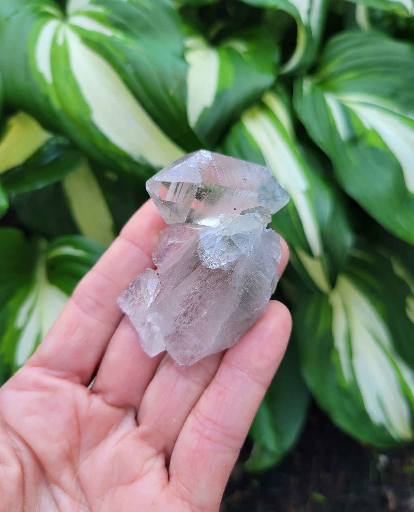 Quartz Cluster (Smokey and Clear Himalayan) Parcel from Himalchal Pradesh, India